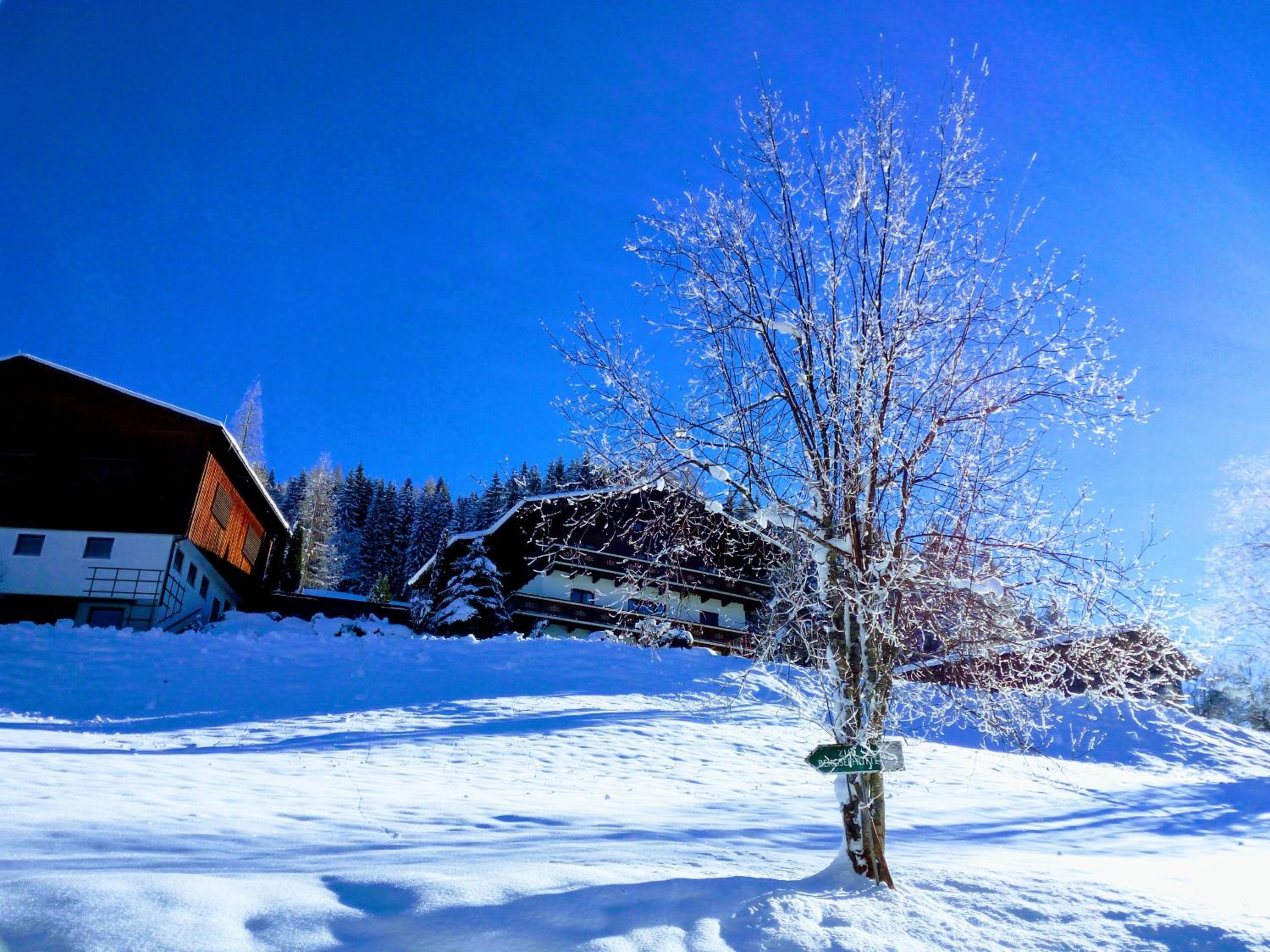Pension Chalet Bergseegut