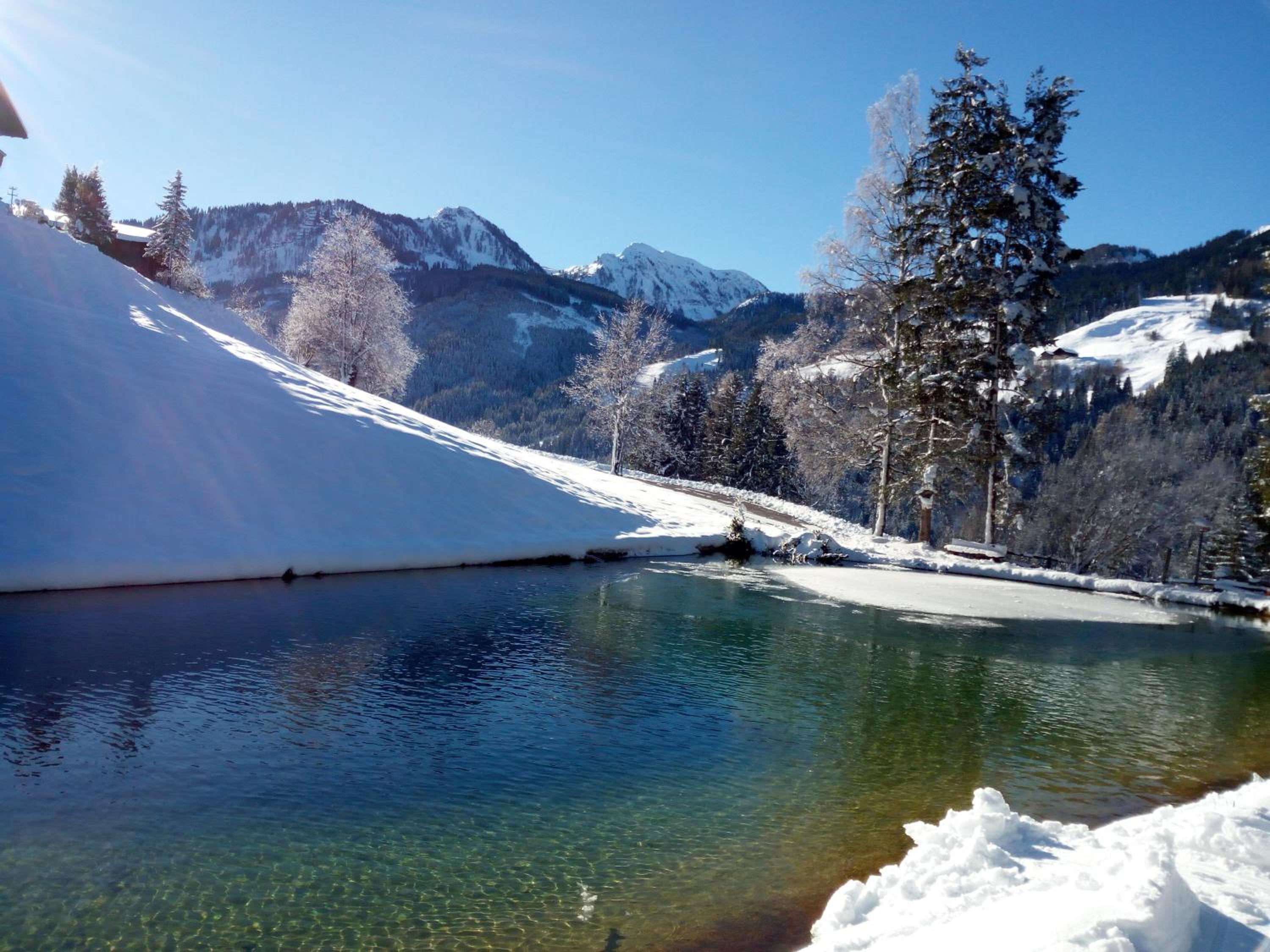 Pension Chalet Bergseegut