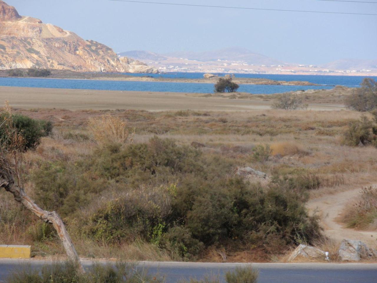 Photo 30