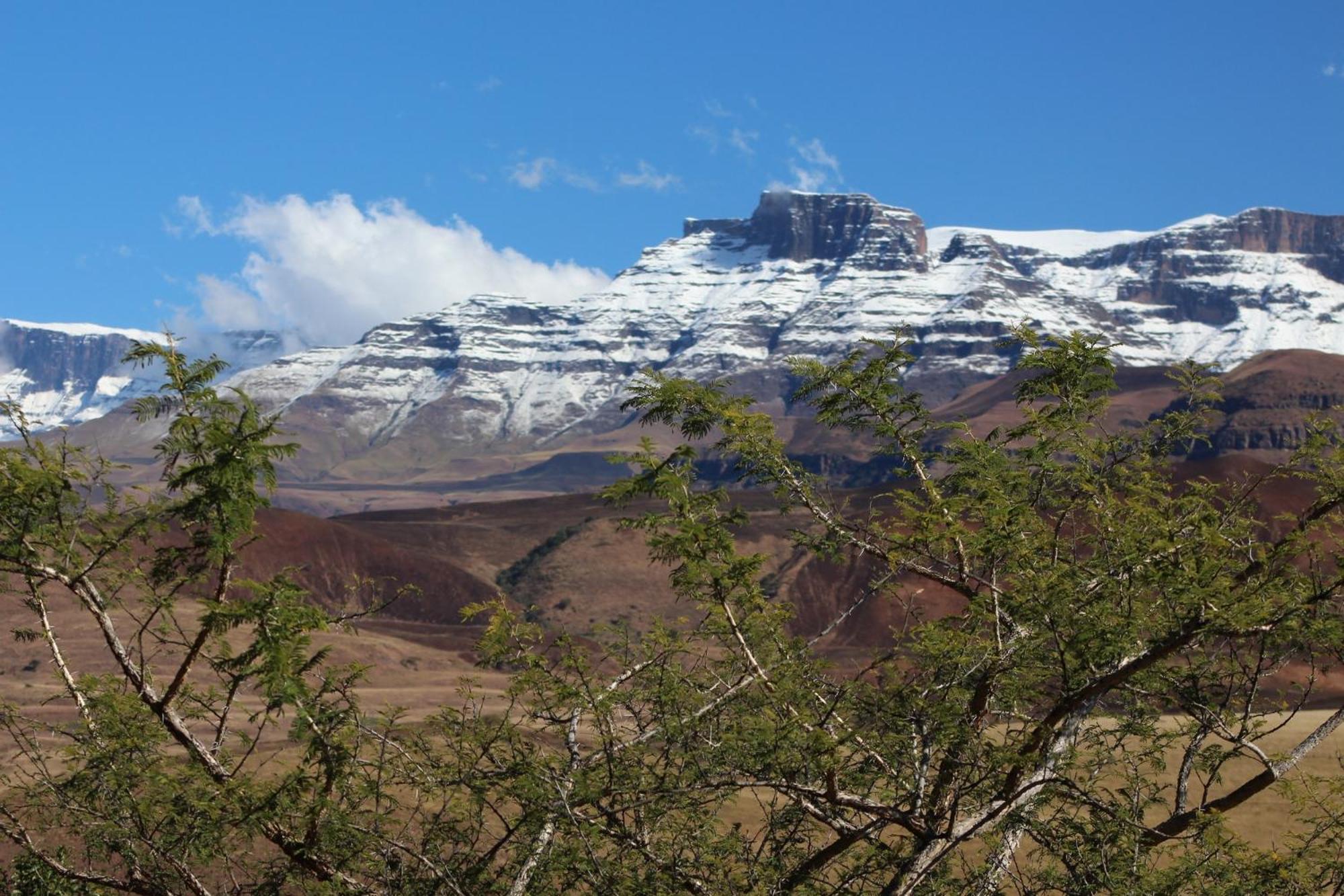 Treks, Trips and Trails