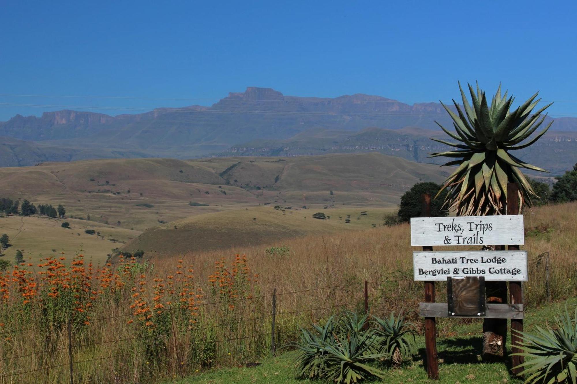 Treks, Trips and Trails