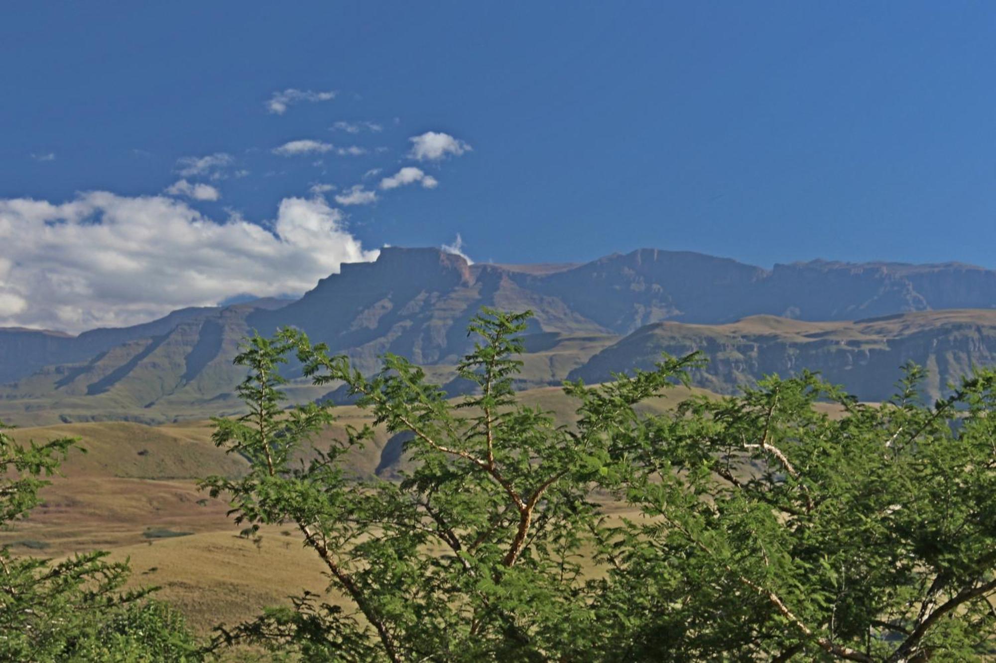 Treks, Trips and Trails