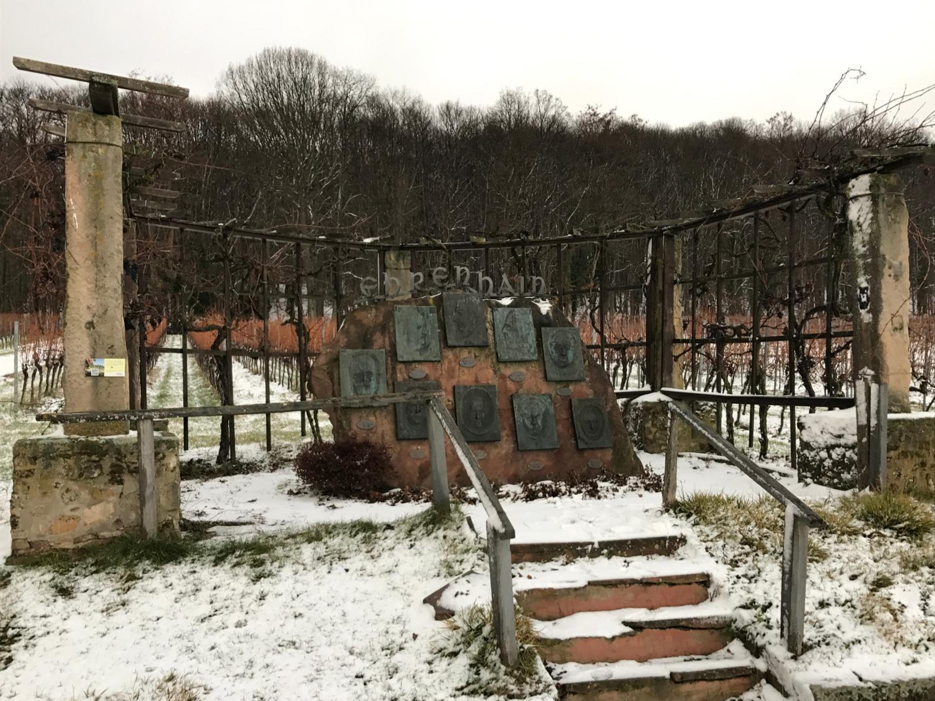 Rebstöckel en Schweigen-Rechtenbach