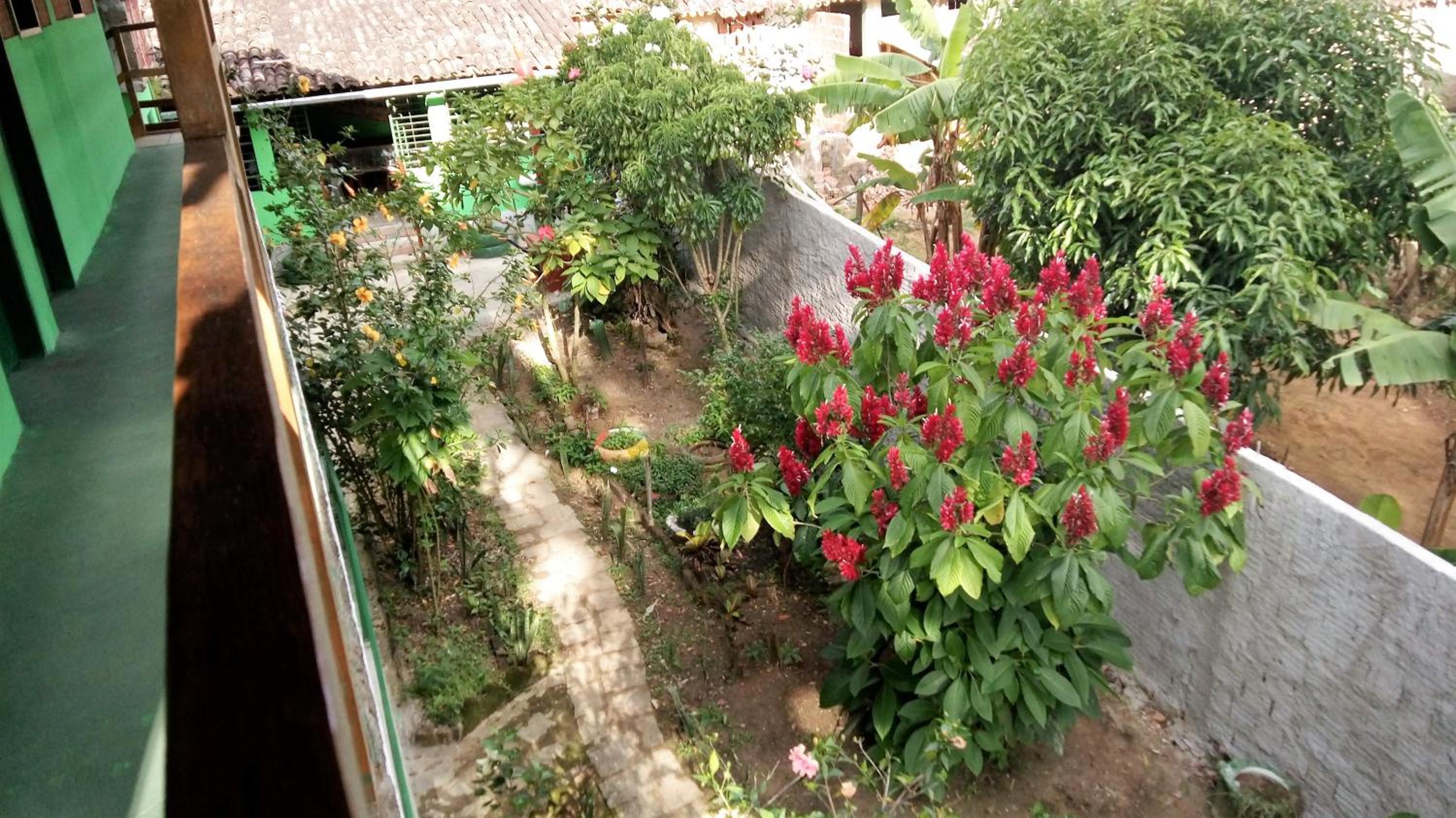 Photo 36