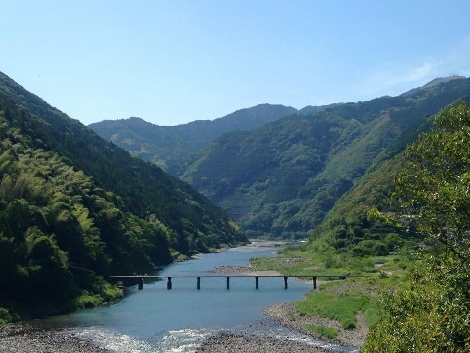 Photo 41
