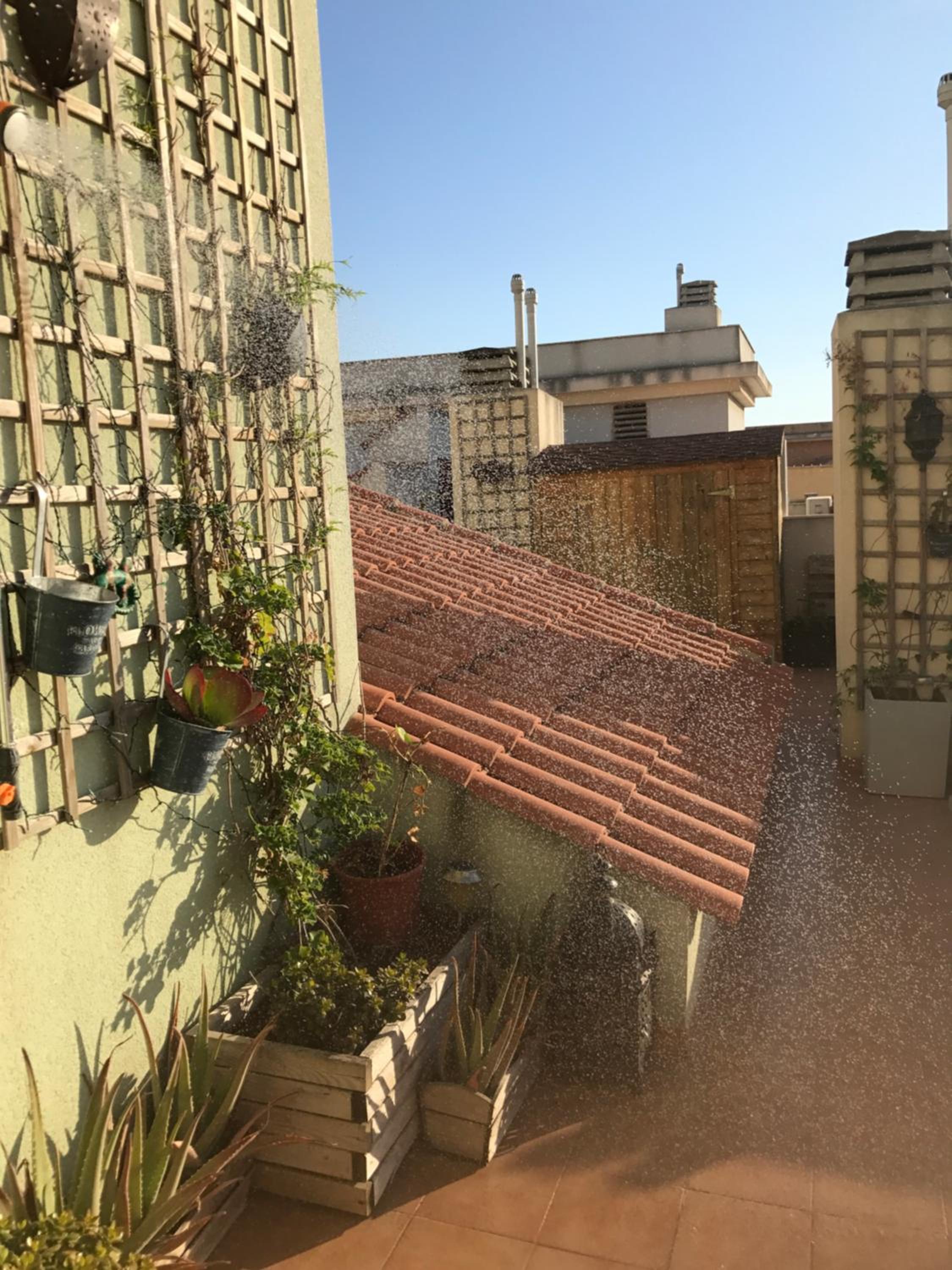 roof