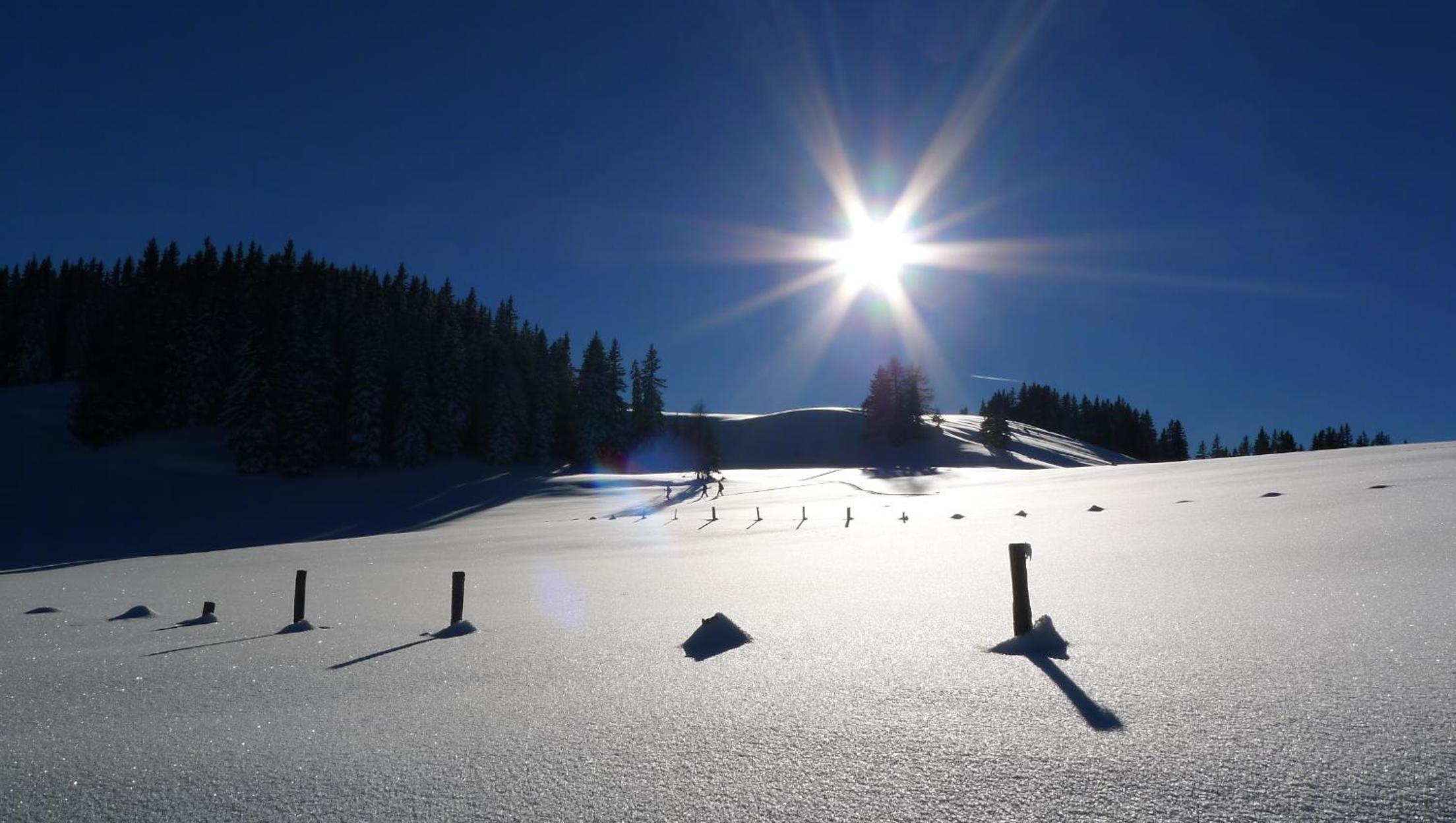 Alpenhaus Dachstein.Zauber