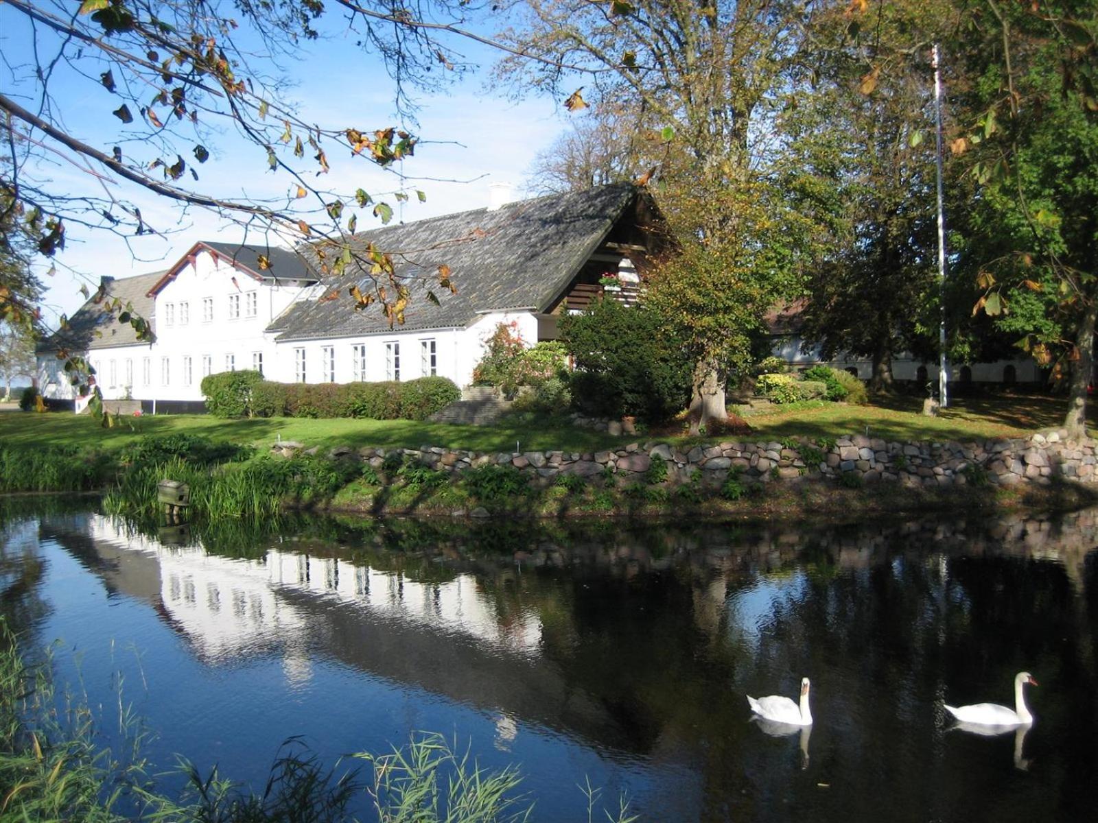 Rønhave