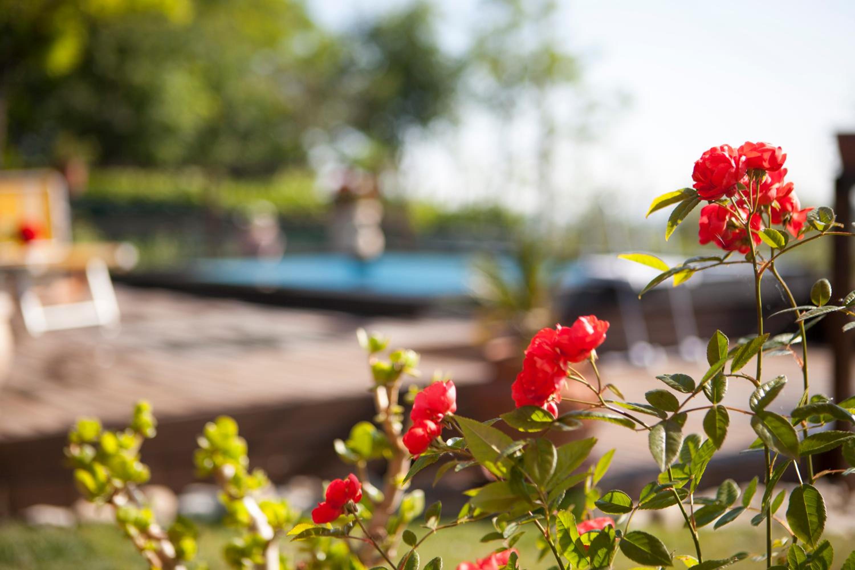 Casa S.Paolo photo 2