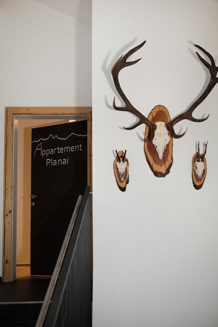 Appartements Almnest