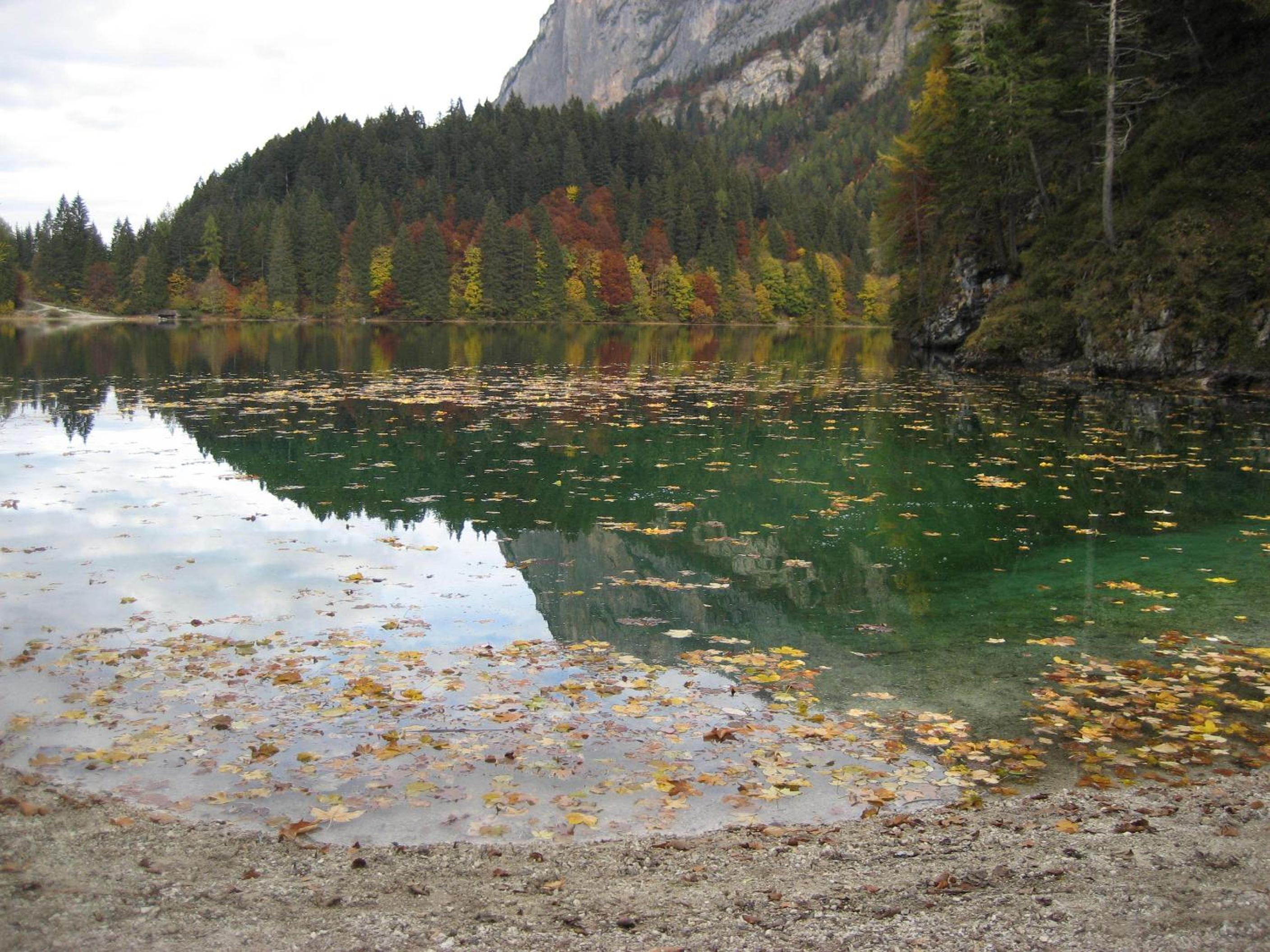 Photo 30