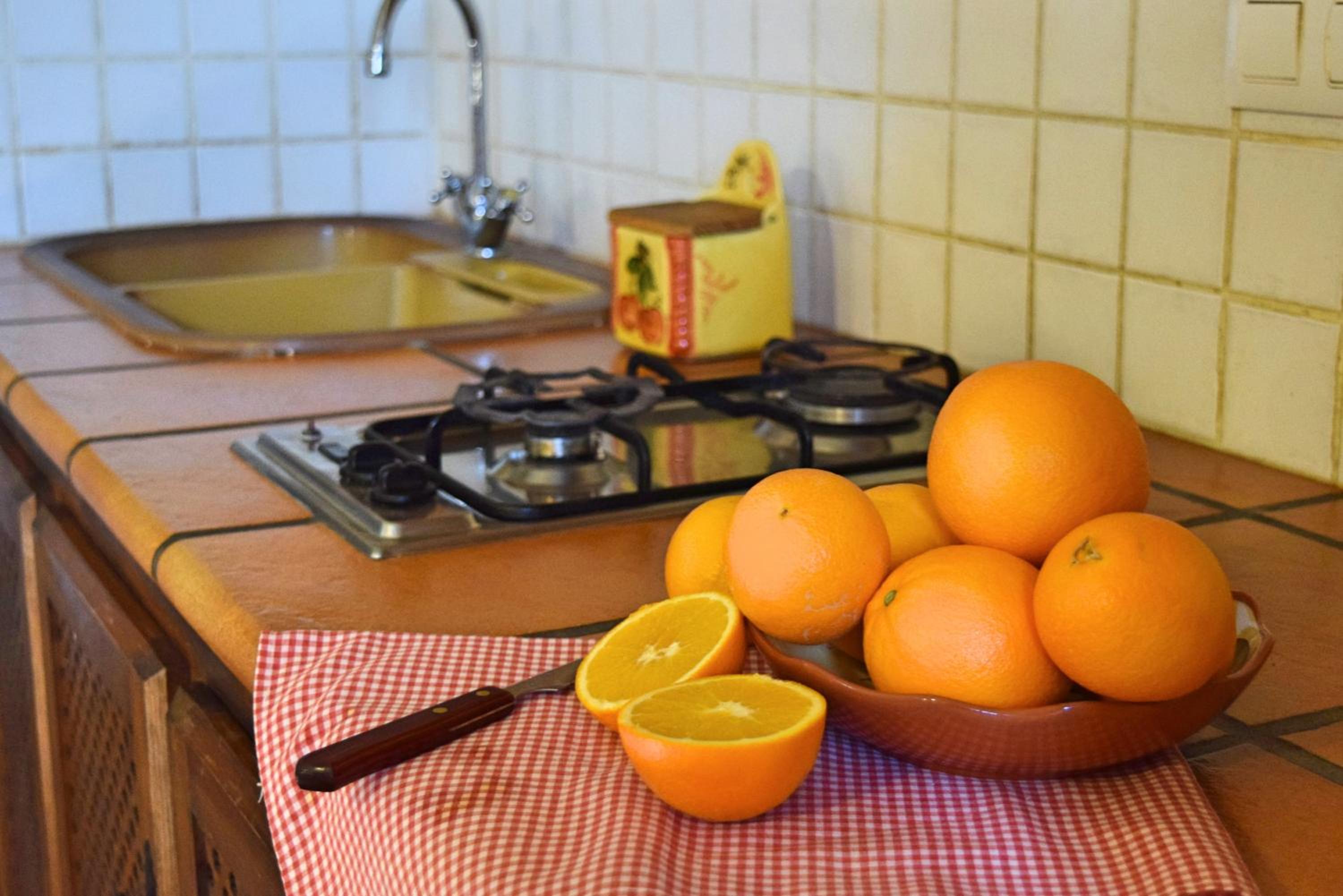 Cortijos y Dehesa