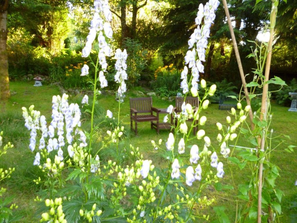Kettle House B&B
