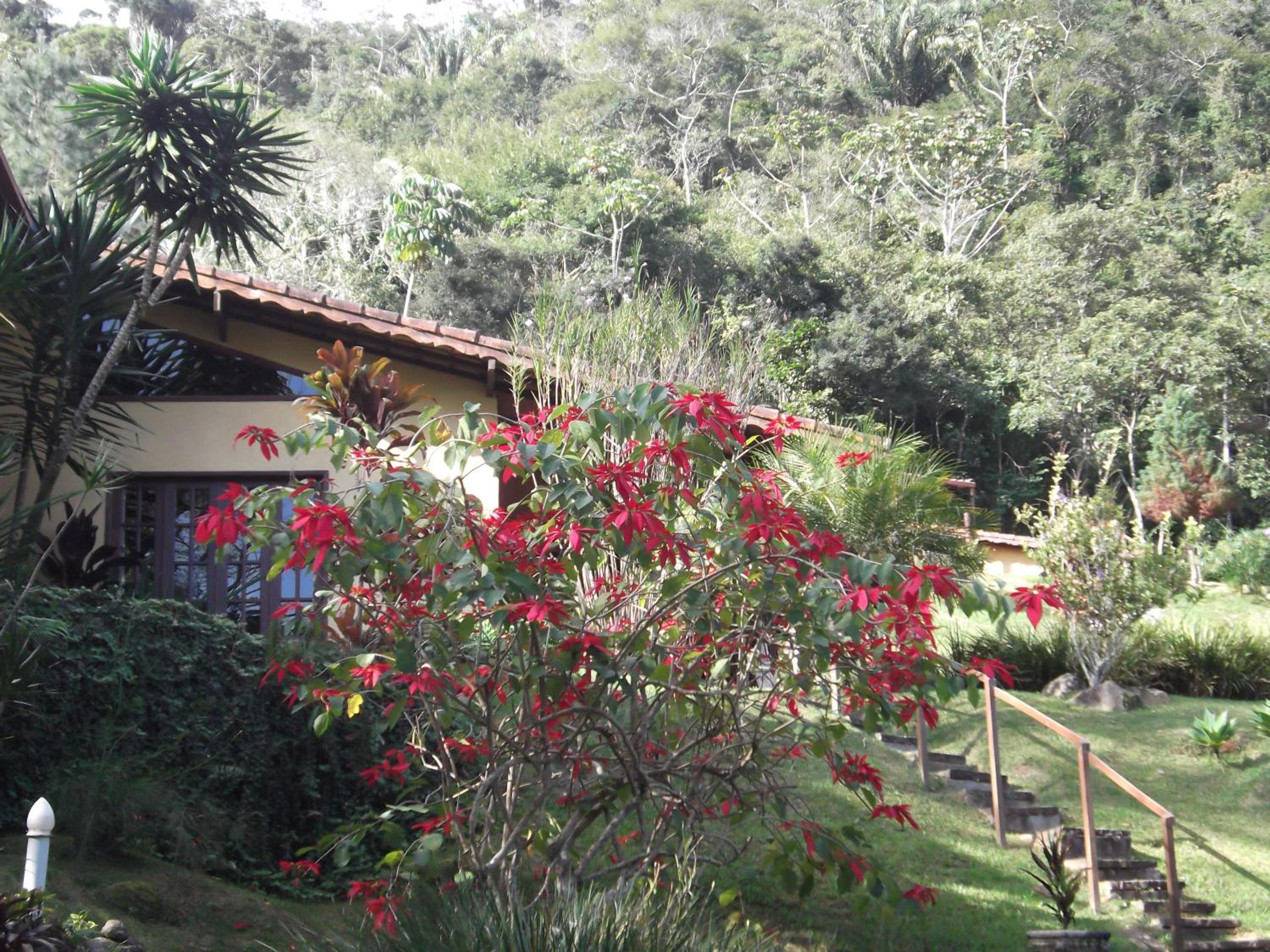 JARDIM REAL - Chalés para casais