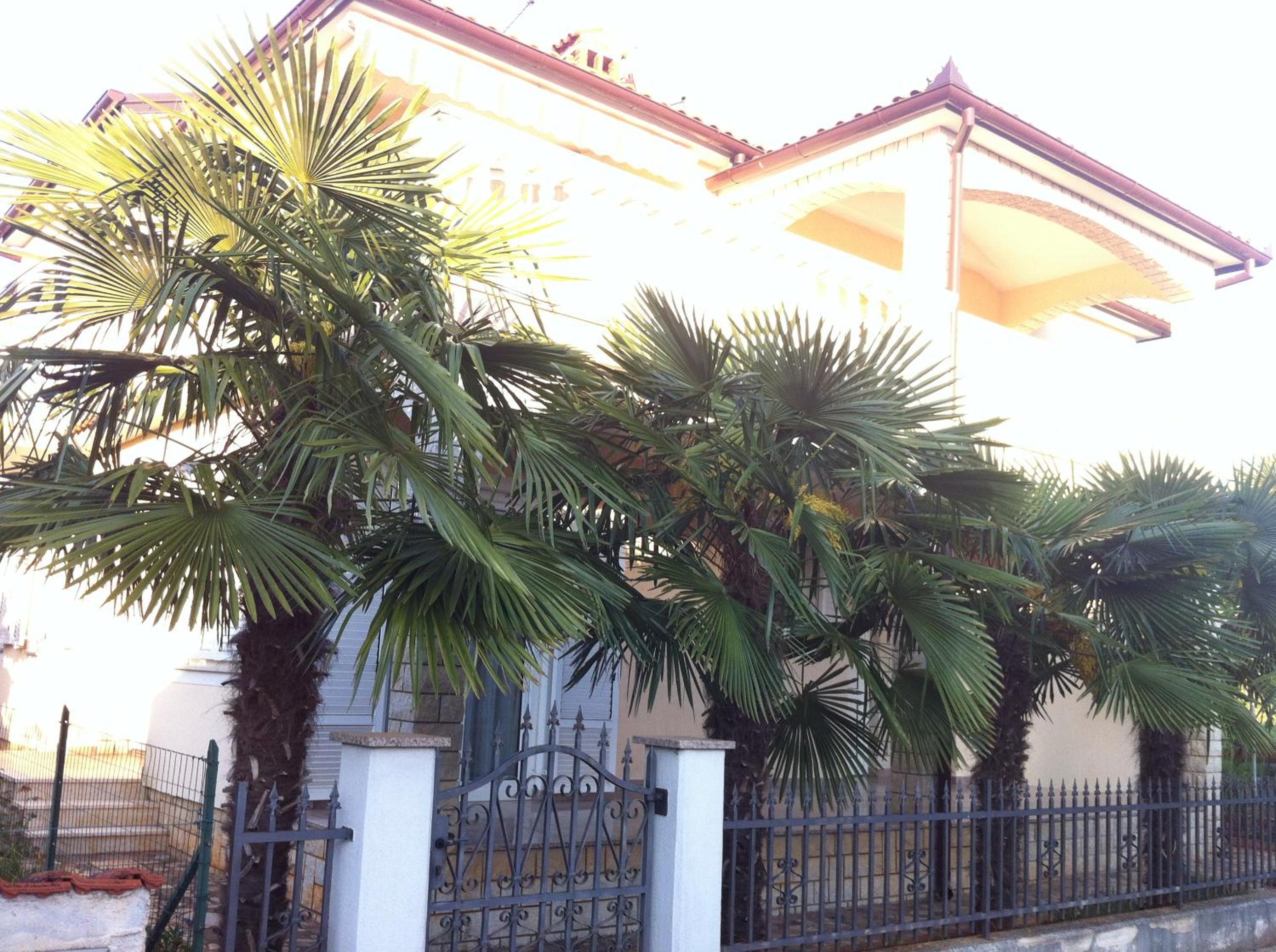 Apartments Marinela - Property Image 59