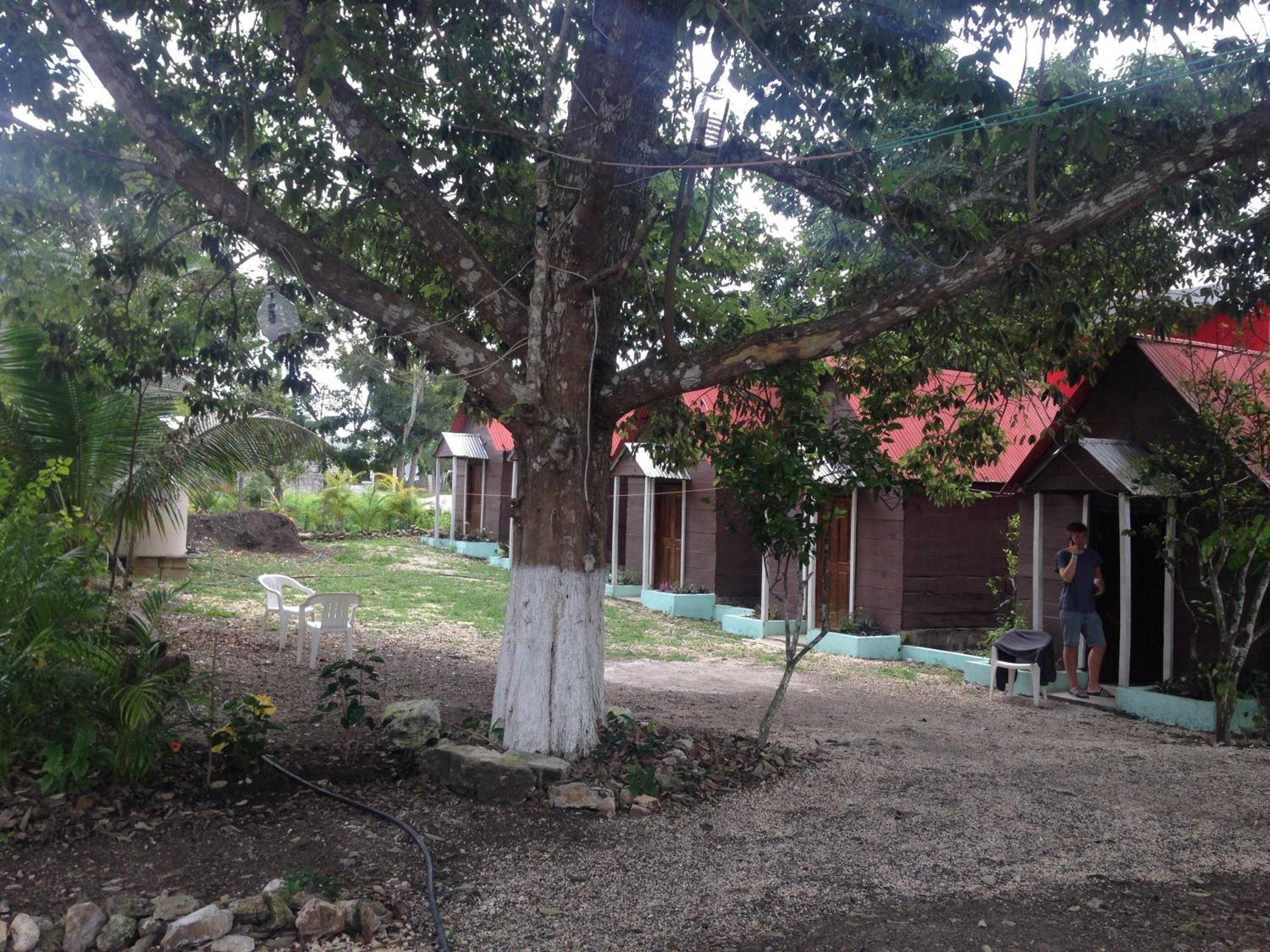 Photo 32