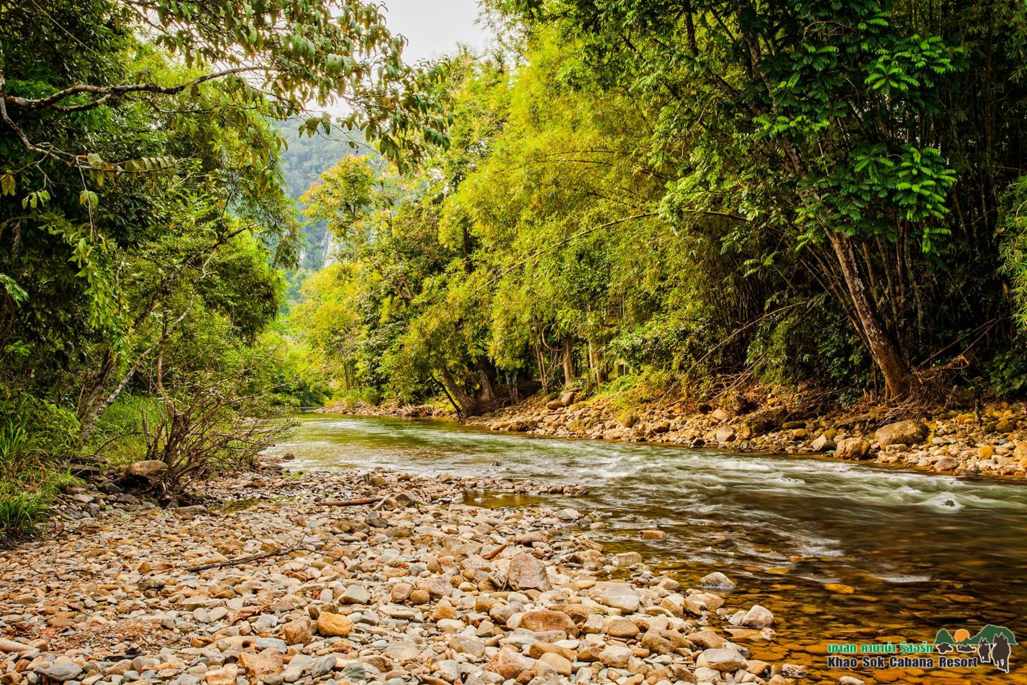 Khao Sok Cabana Resort