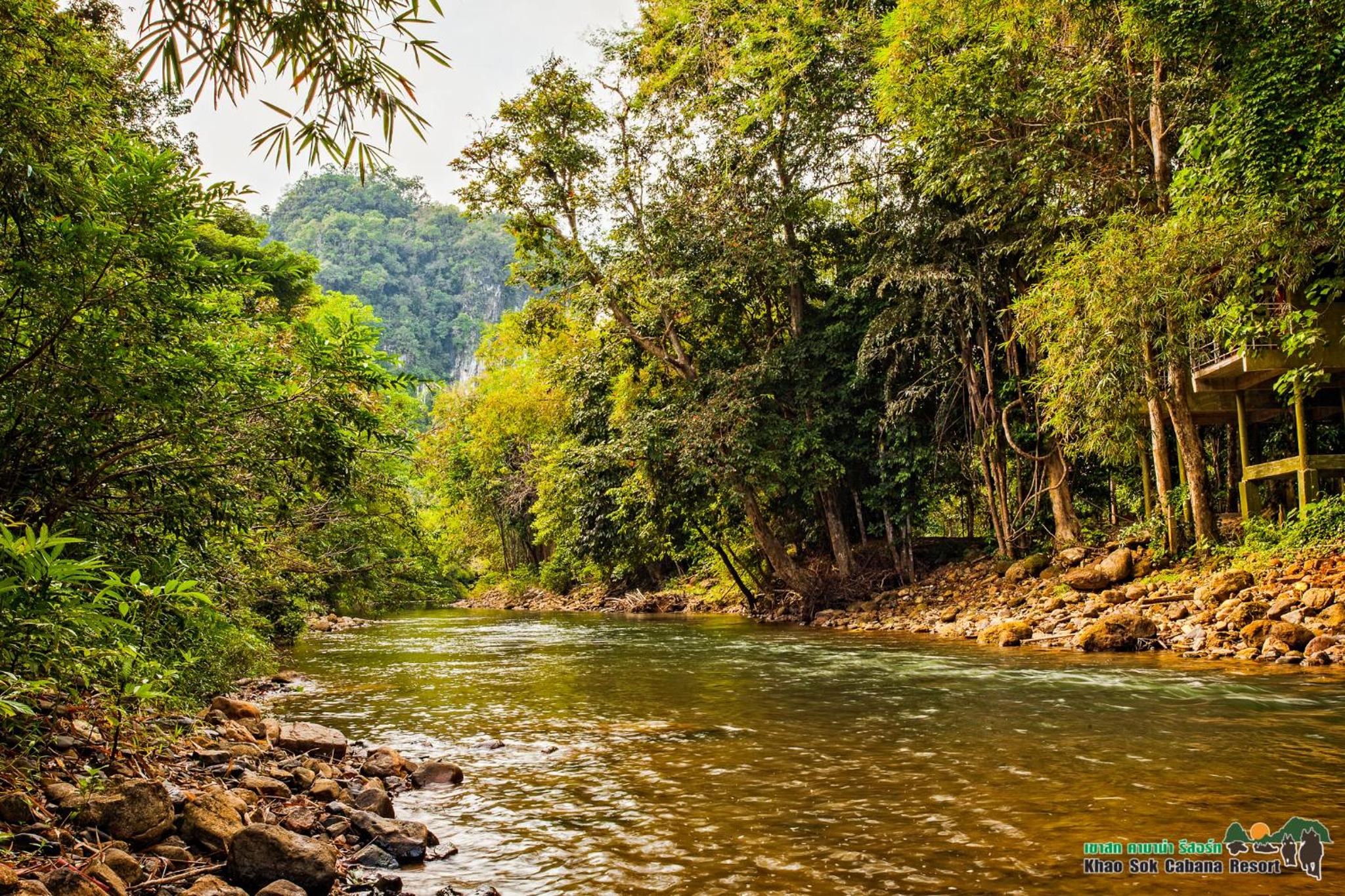 Khao Sok Cabana Resort