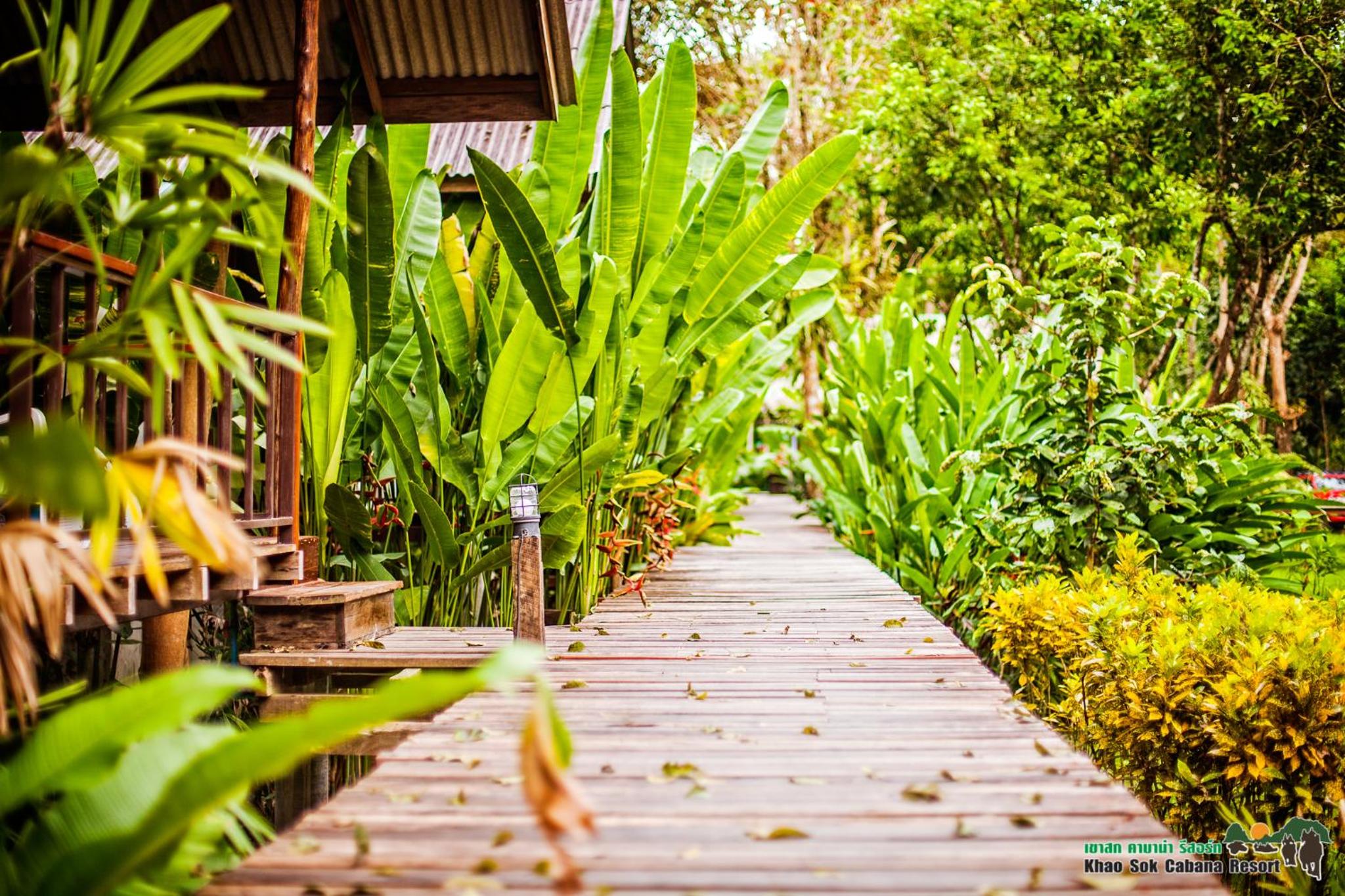 Khao Sok Cabana Resort
