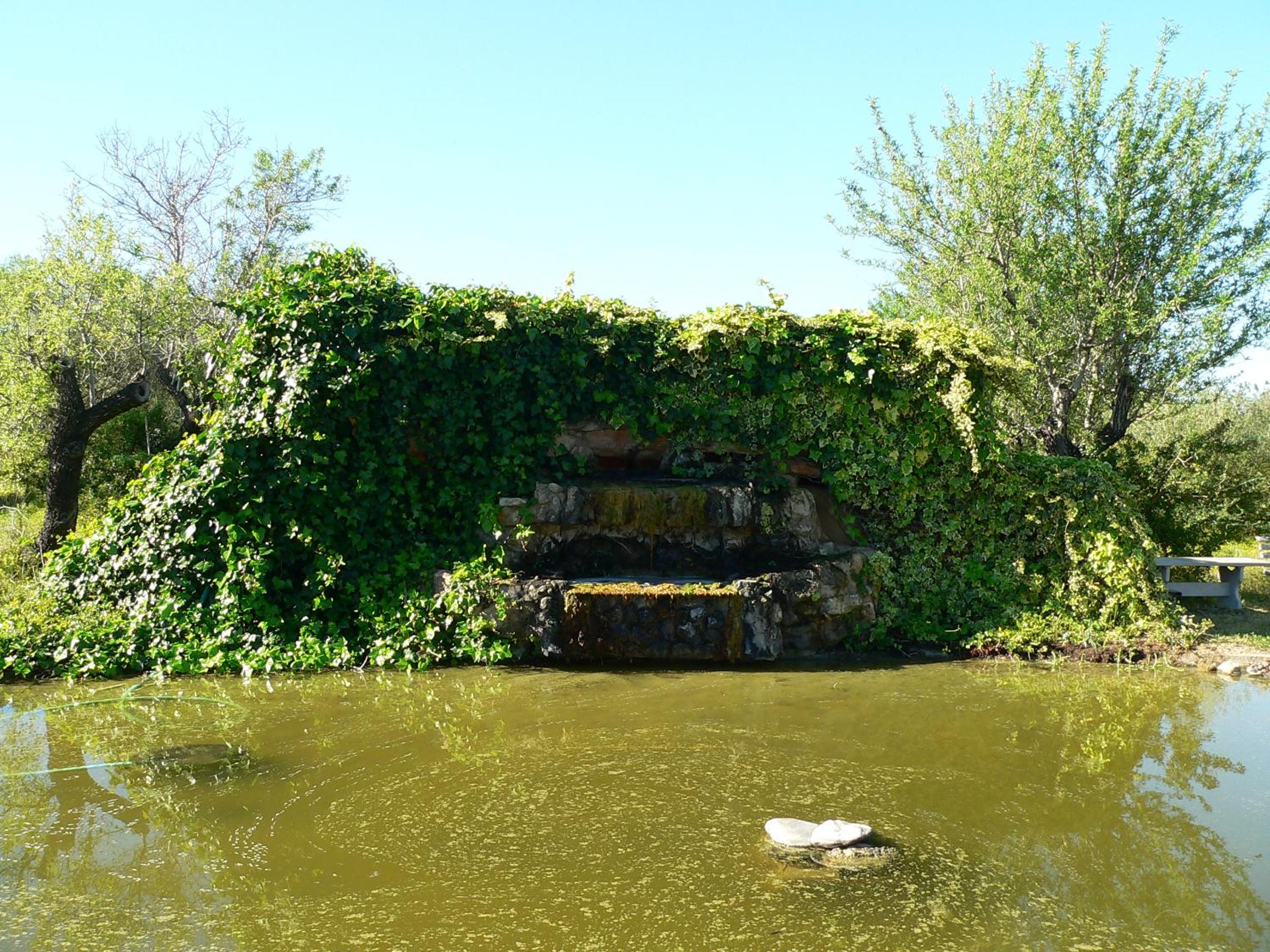Photo 46