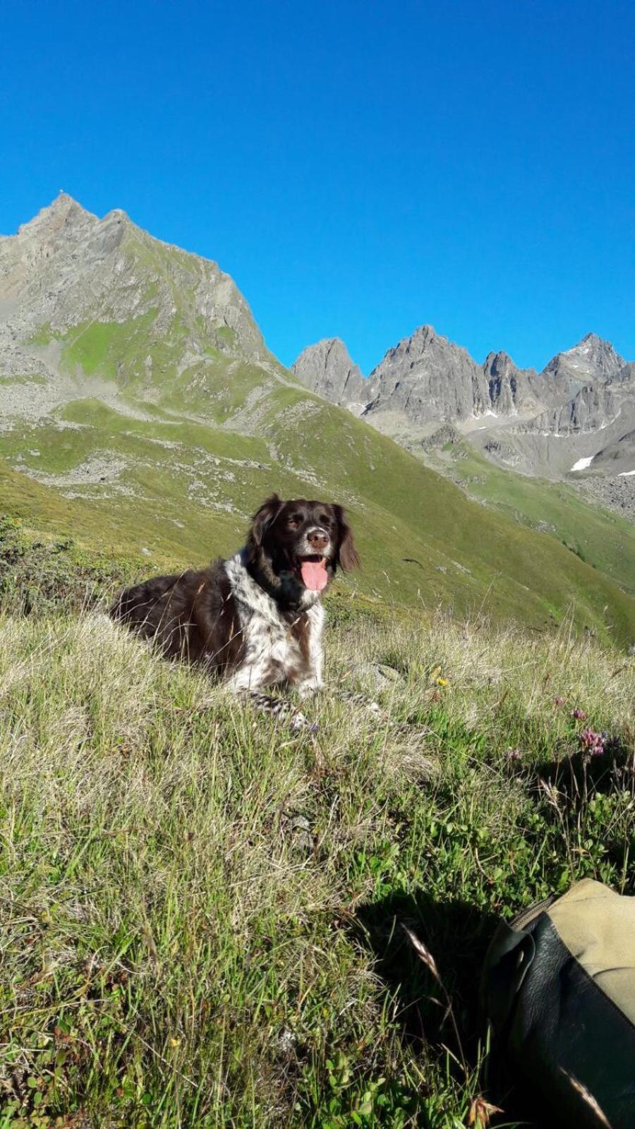 apart.pitztal