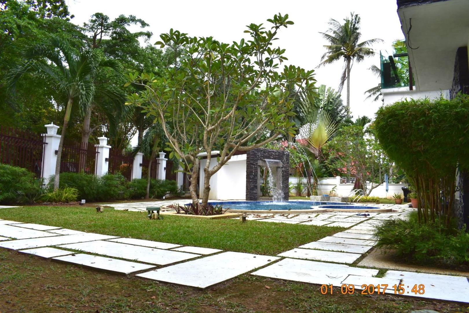 Photo 43