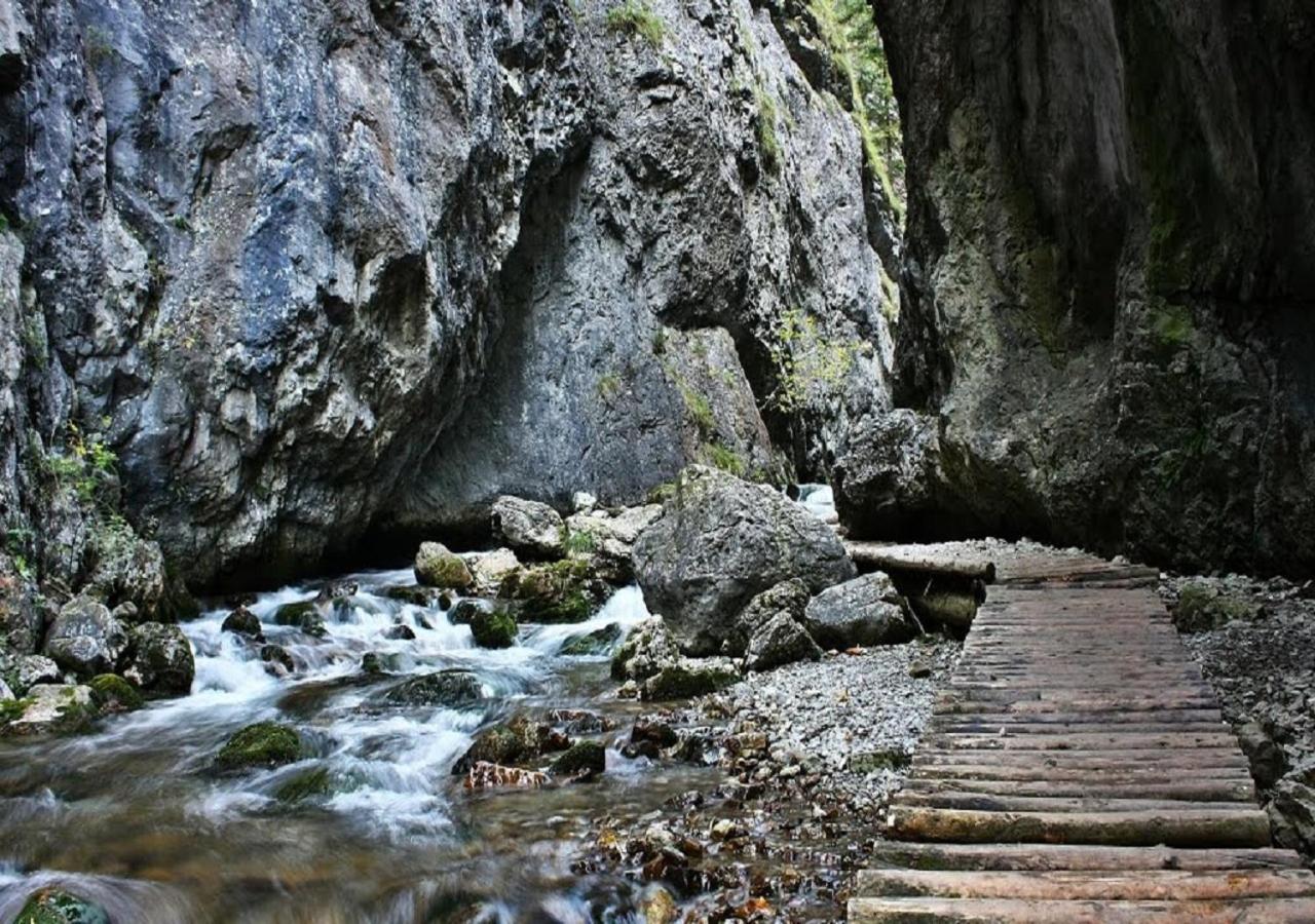 Photo 34