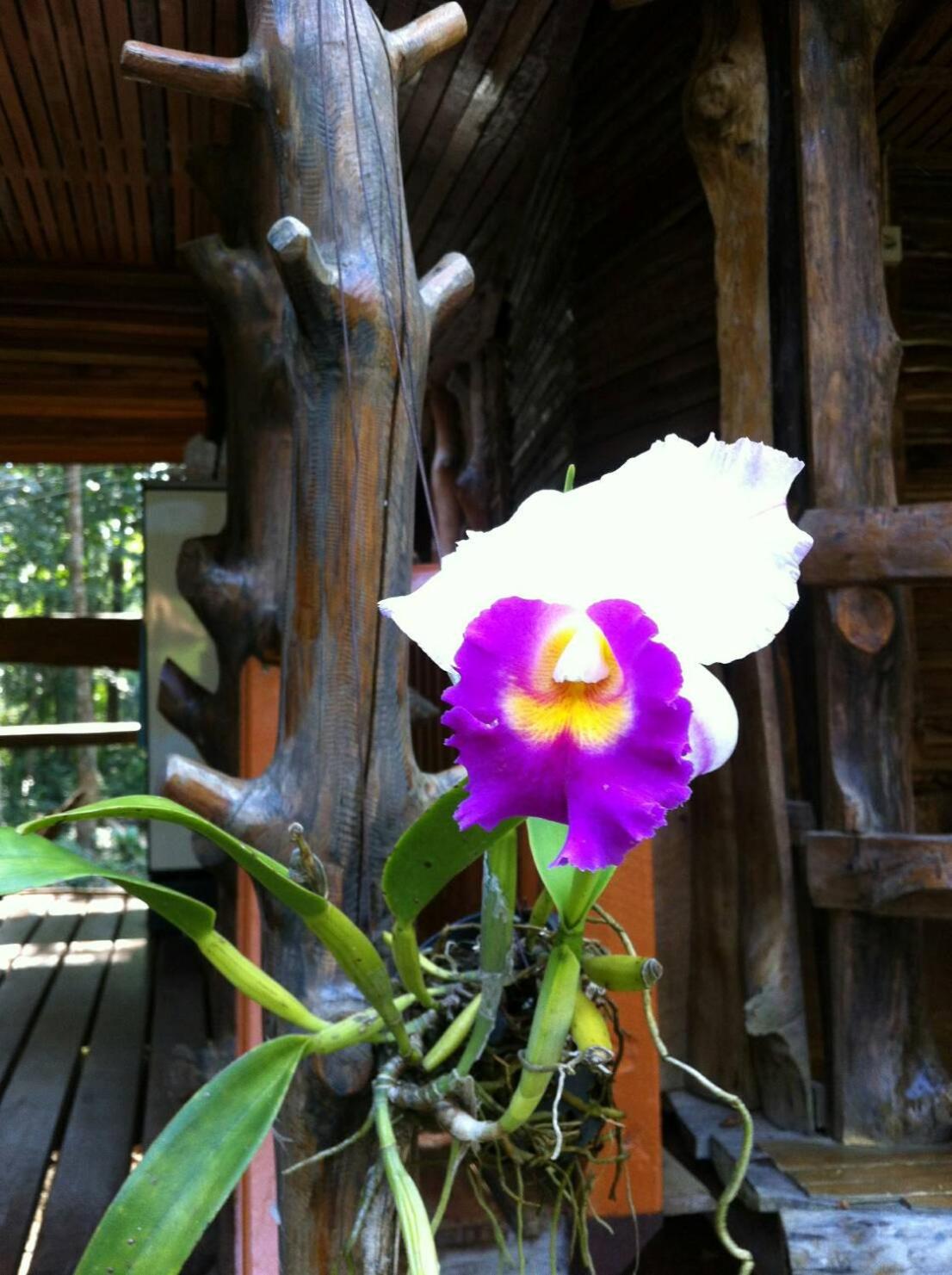 Photo 29