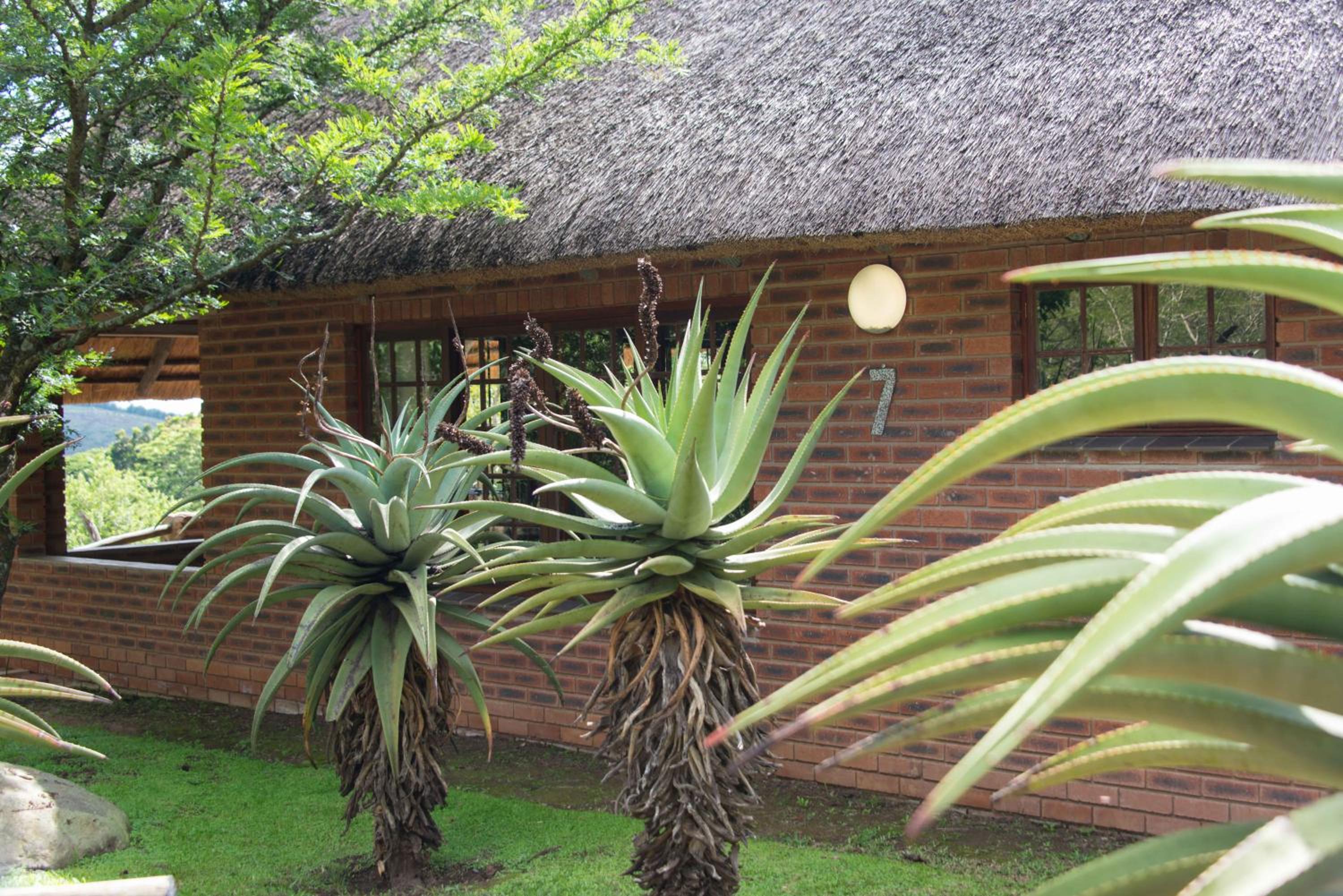 iNsingizi Lodge