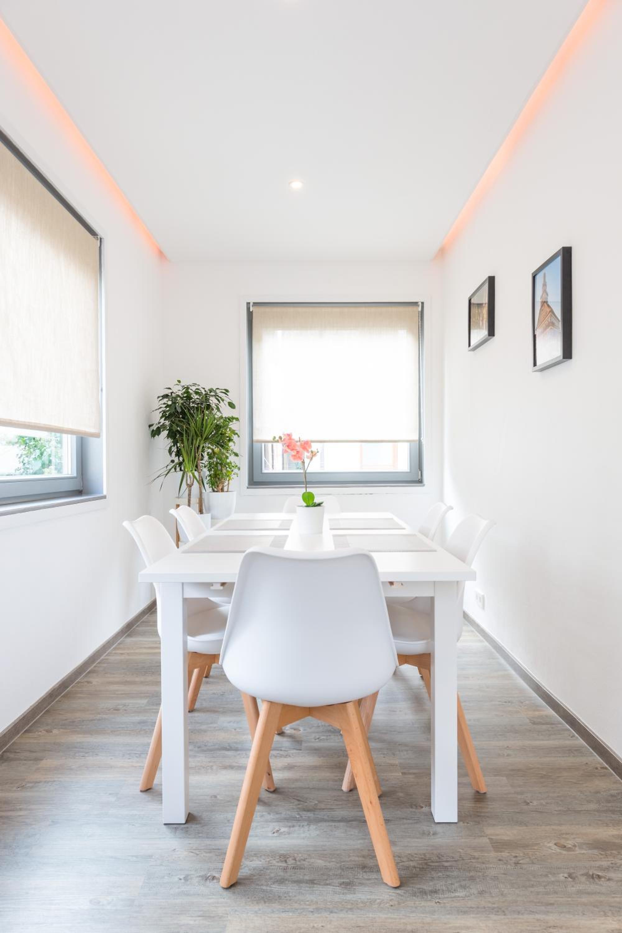 Altstadt Apartments