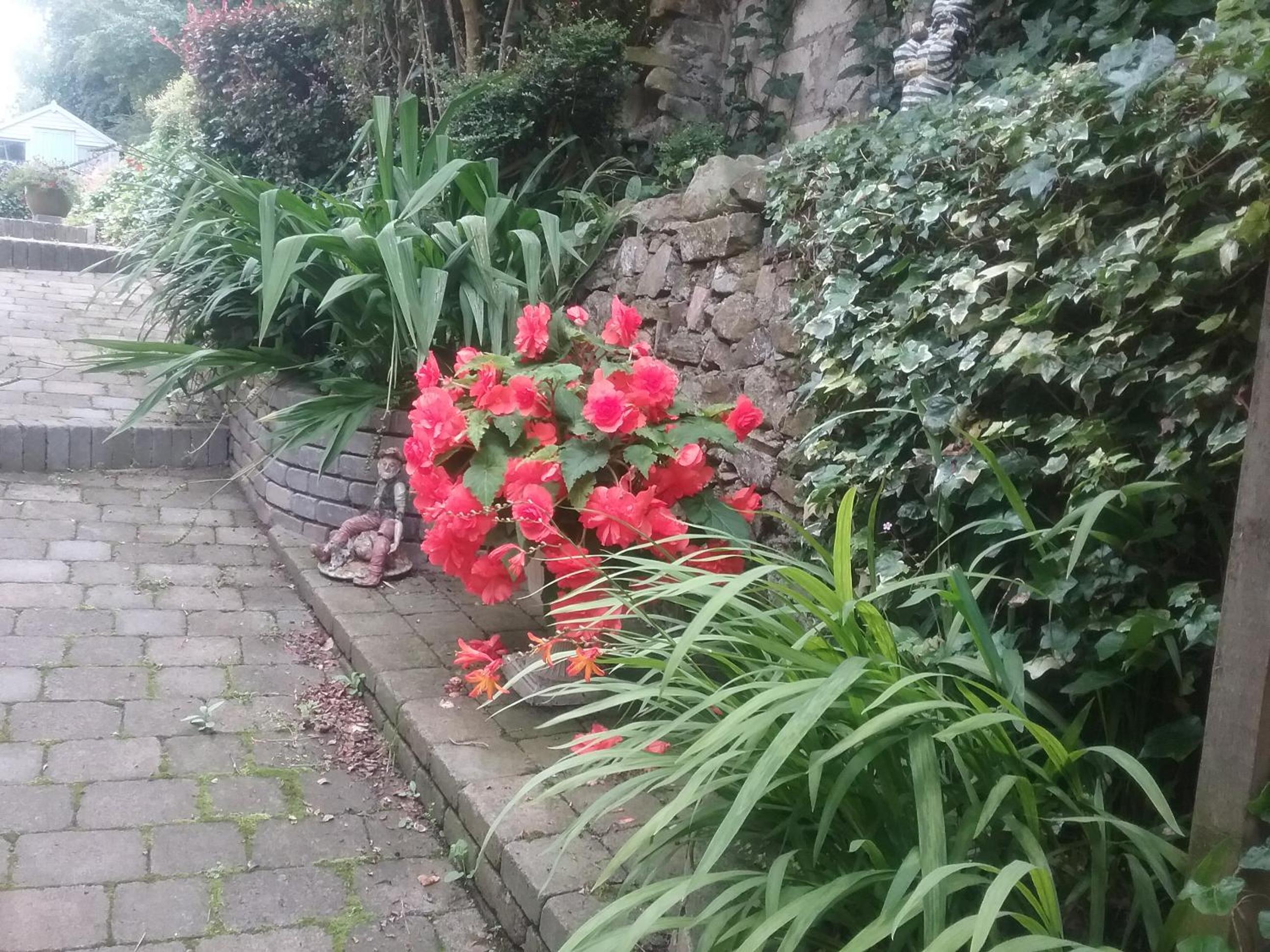 Ashleigh House Bed & Breakfast