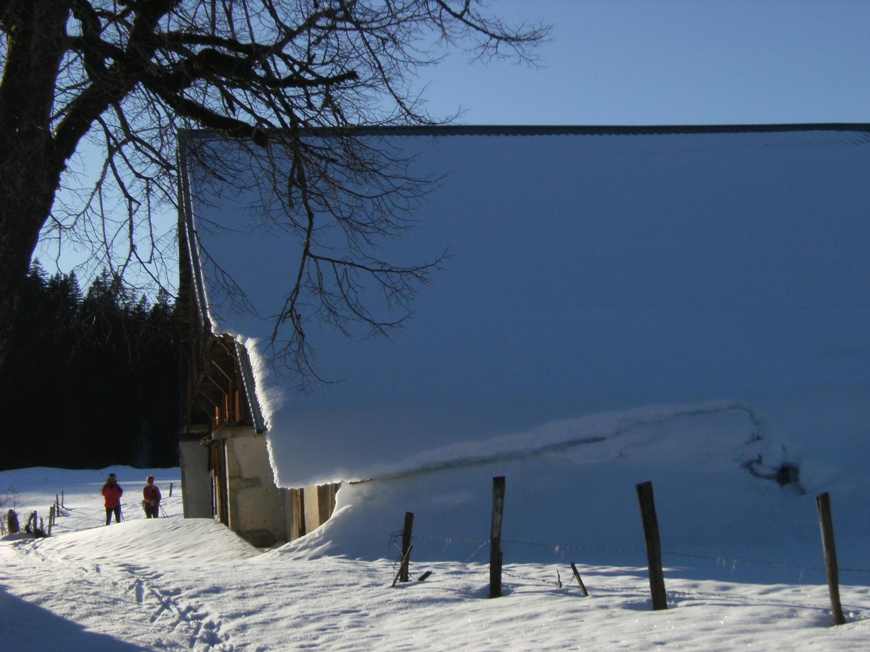 Appartement de vacances Niederer