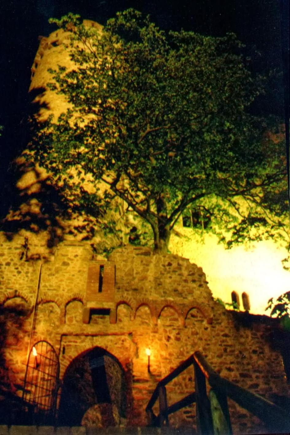 Photo 30