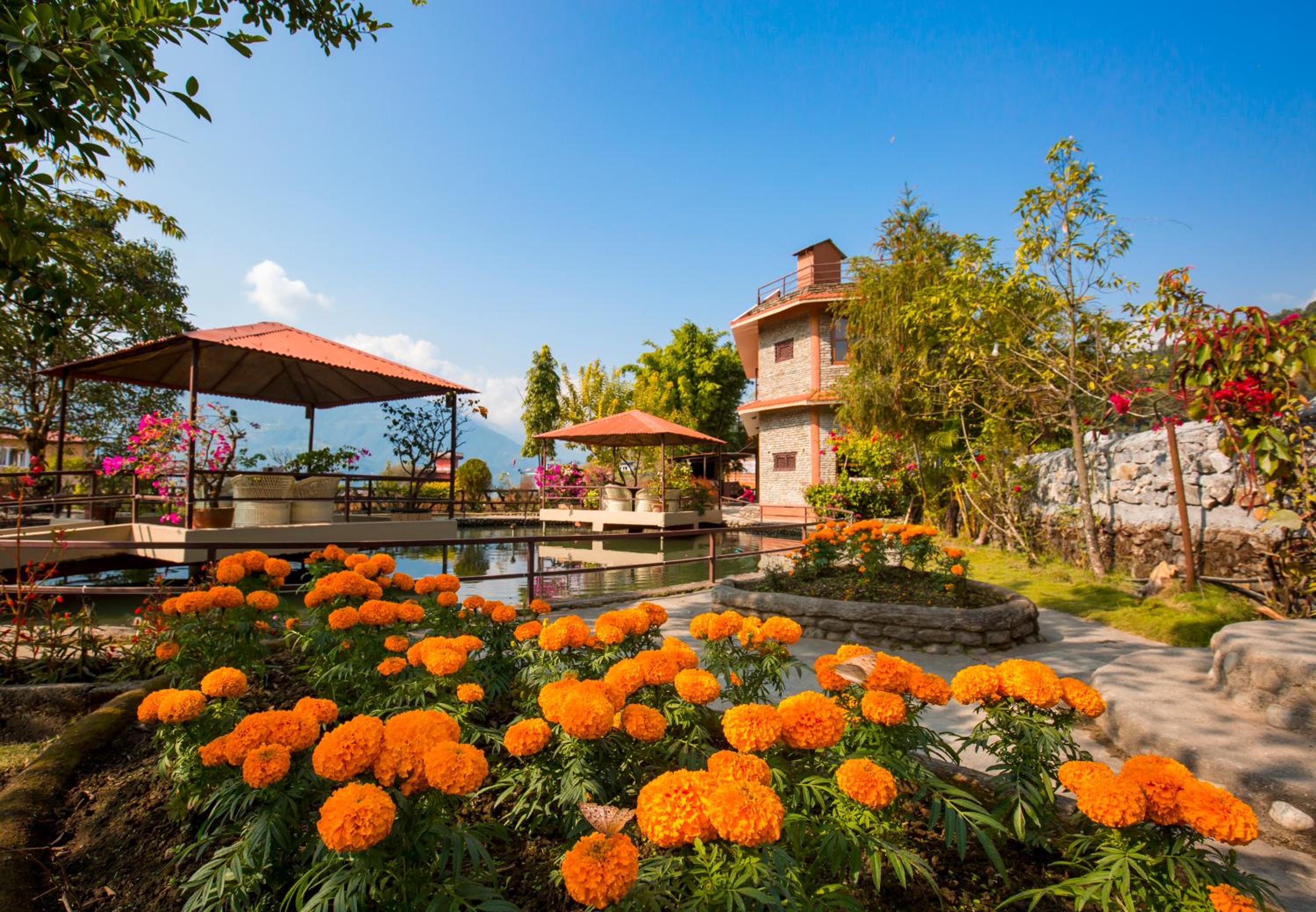 Zostel Pokhara view 5