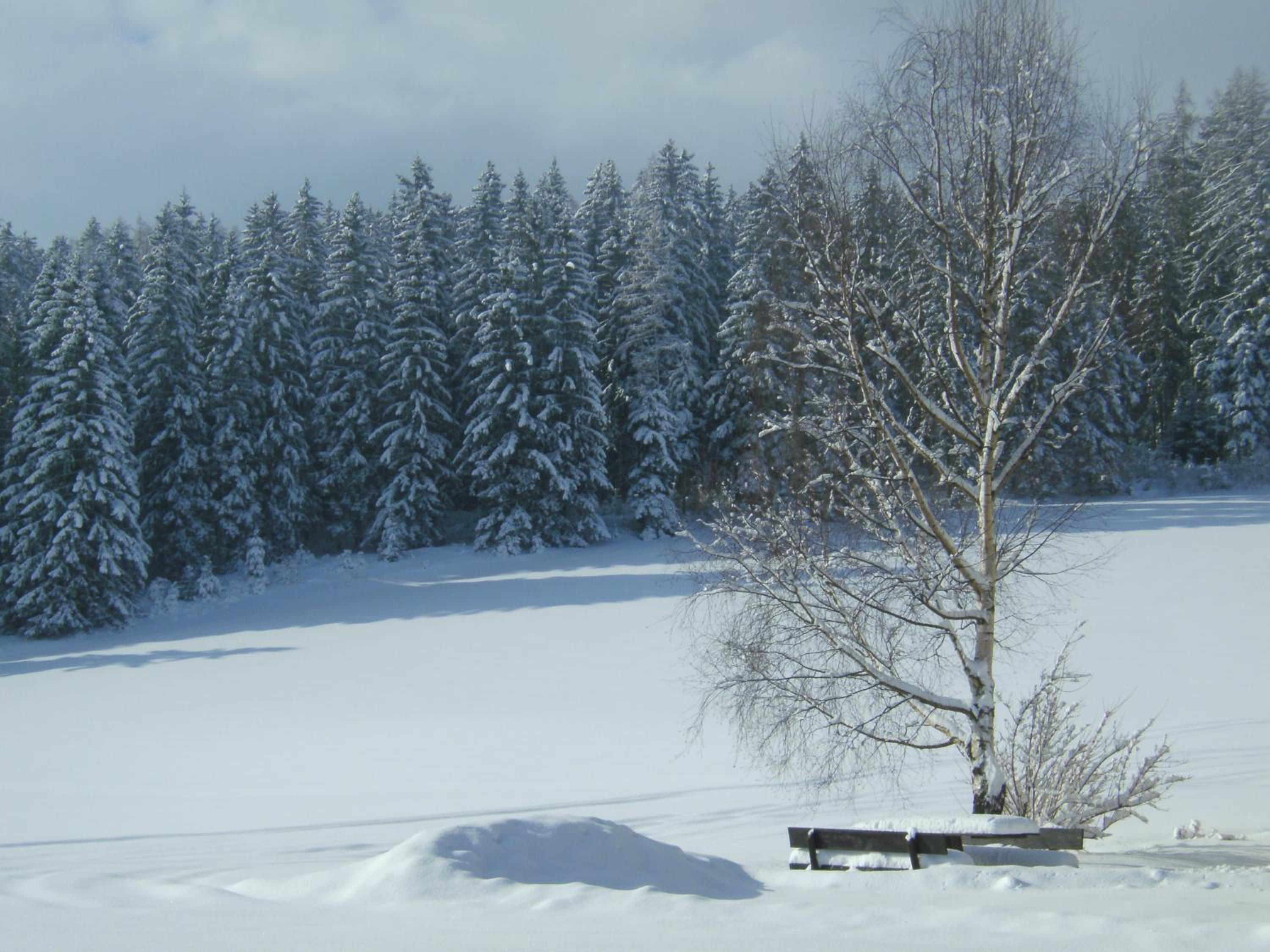 Ferienhaus Wohleser