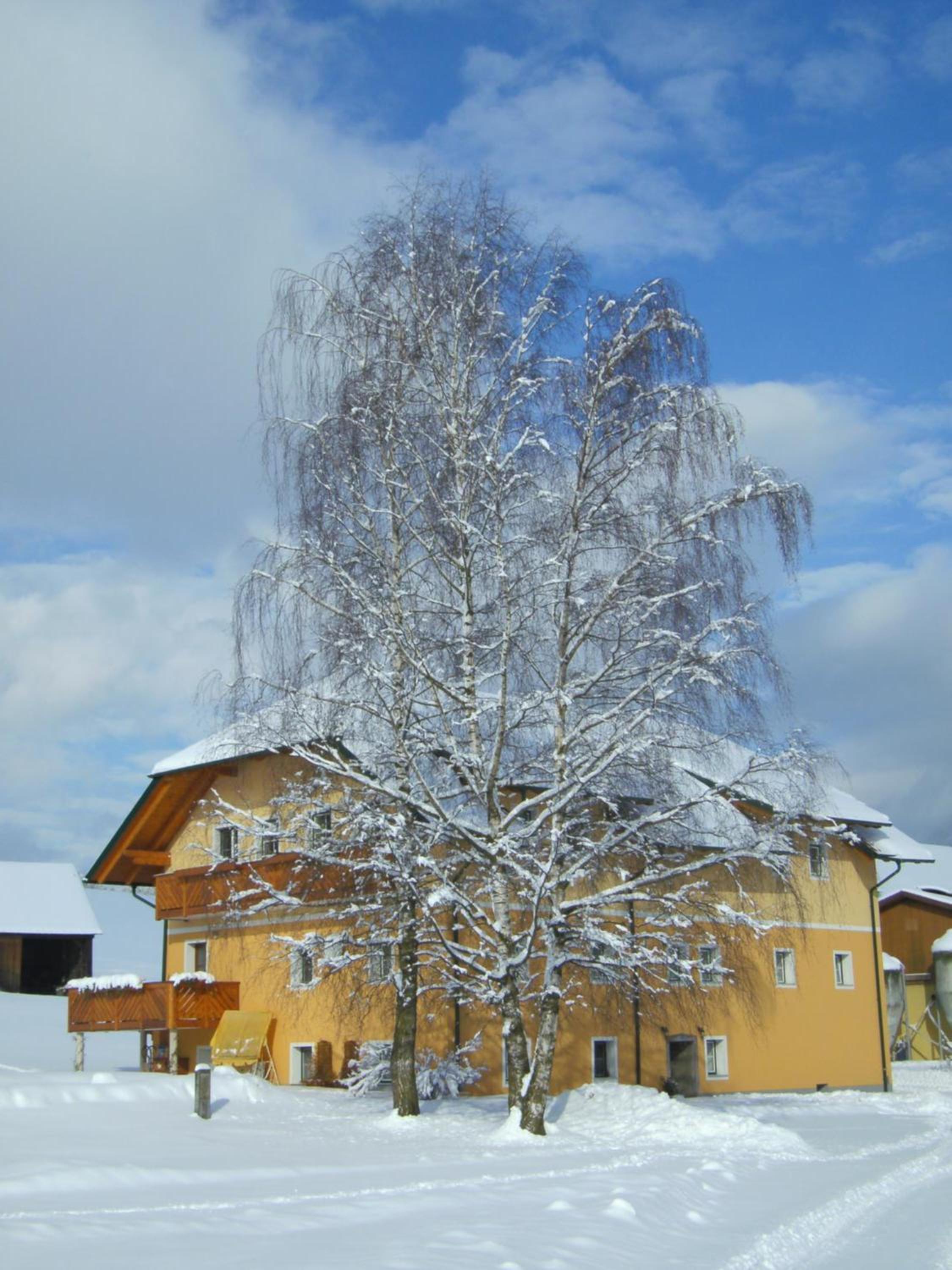 Ferienhaus Wohleser