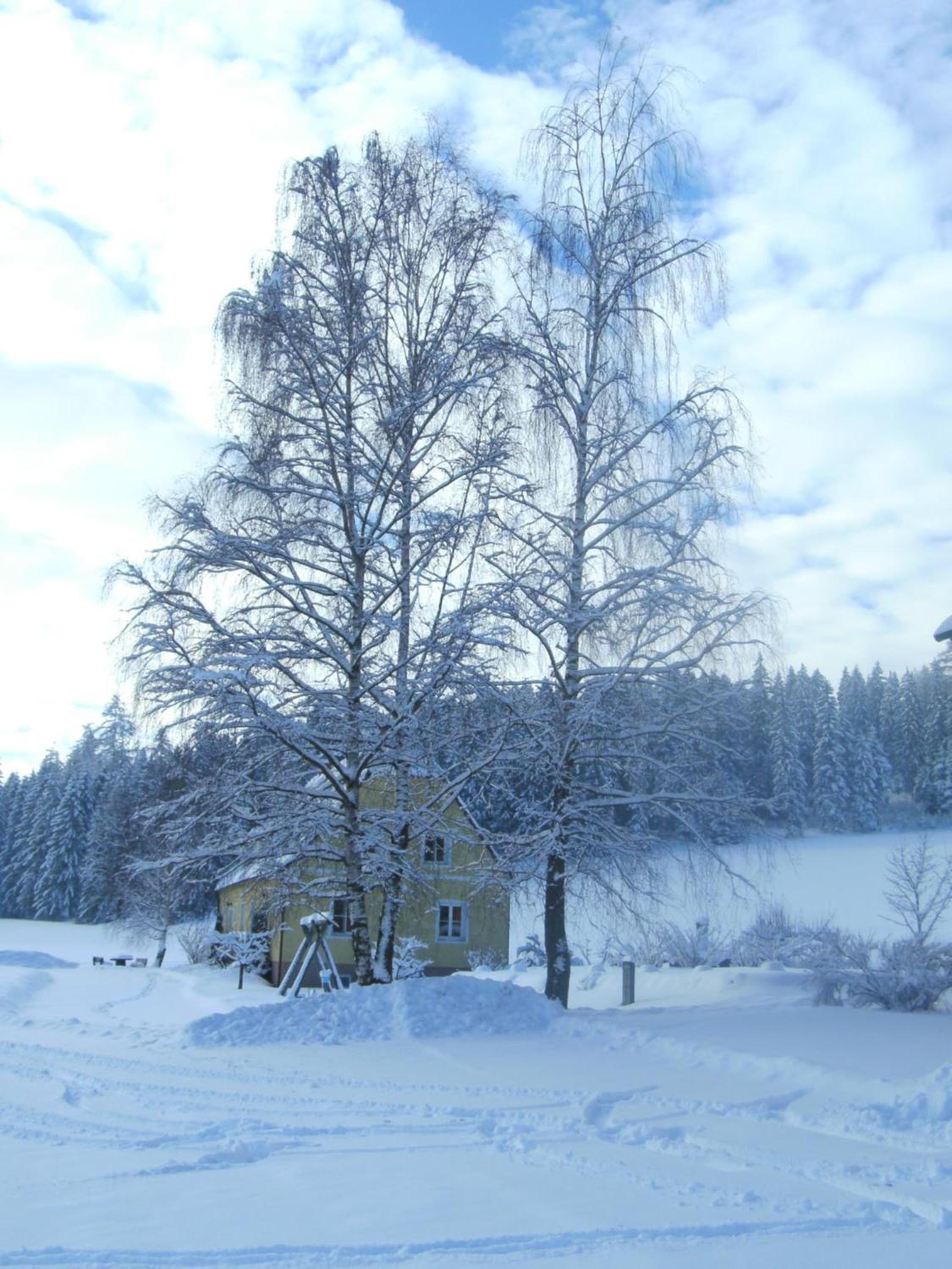 Ferienhaus Wohleser
