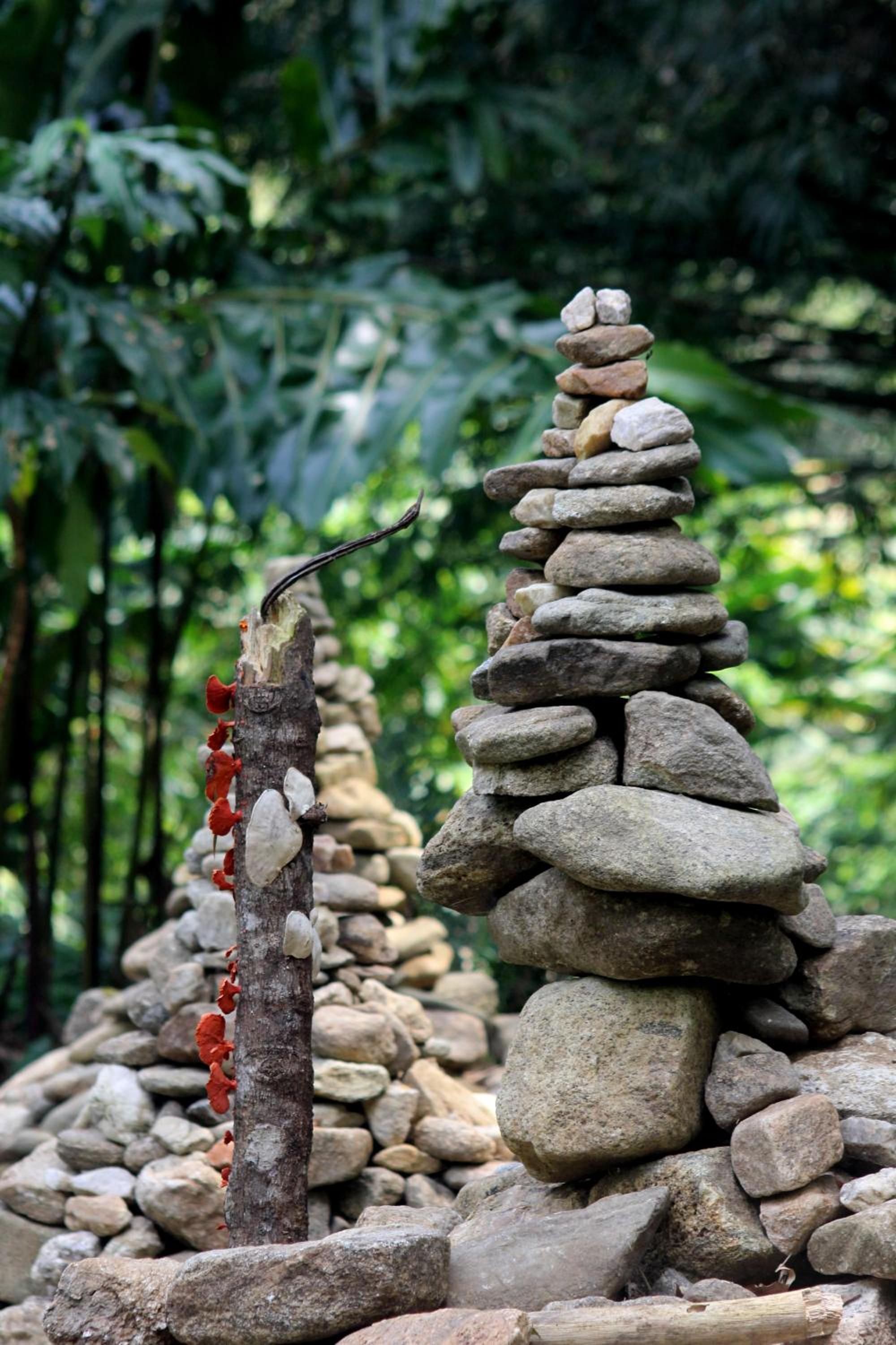 Casa Bacarirá - Floresta com Yoga e Café da Manhã Vegano