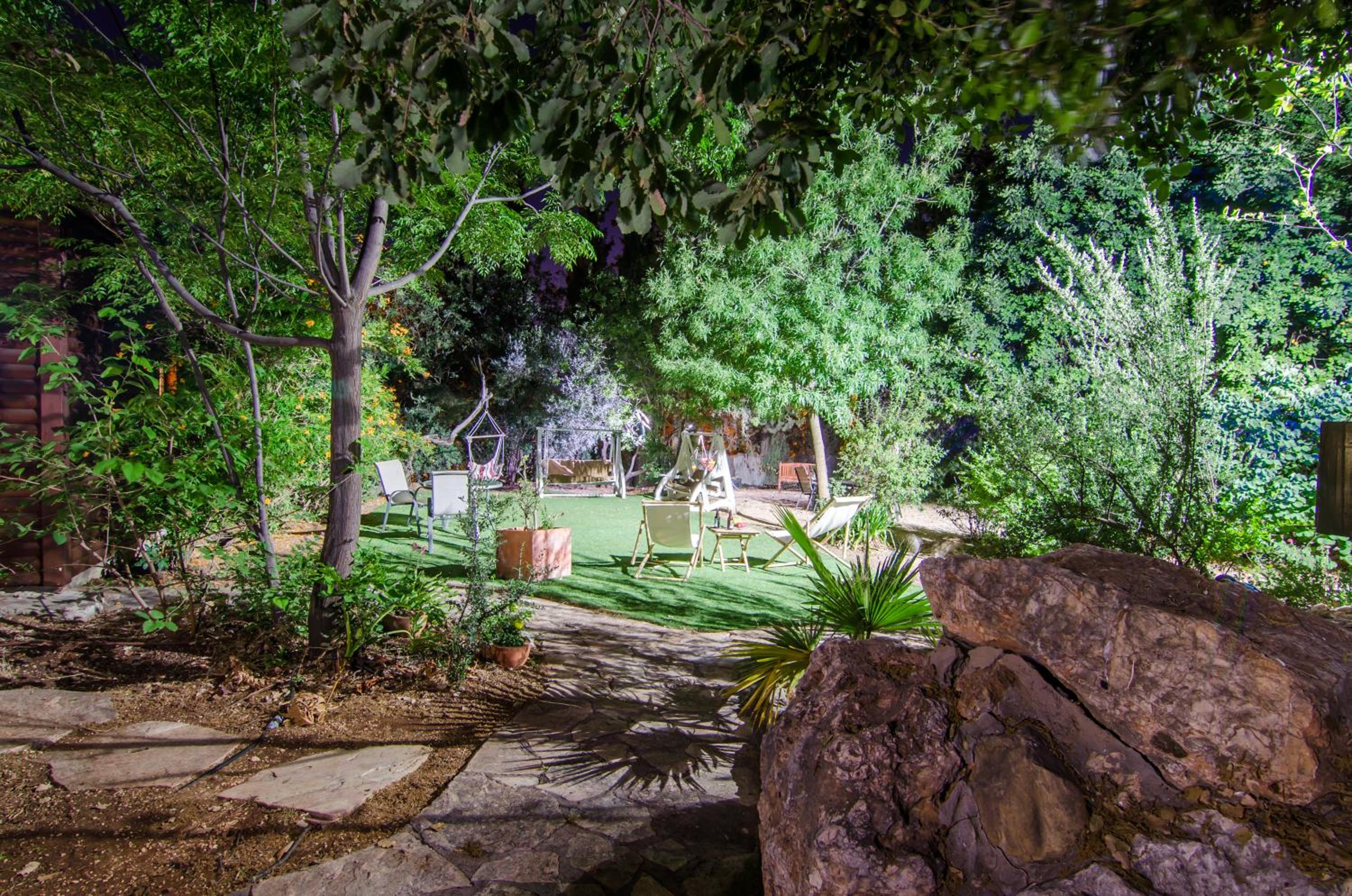 Photo 12