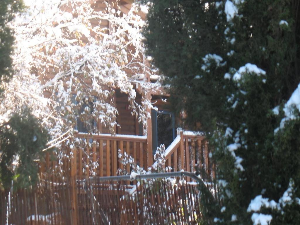 Photo 14