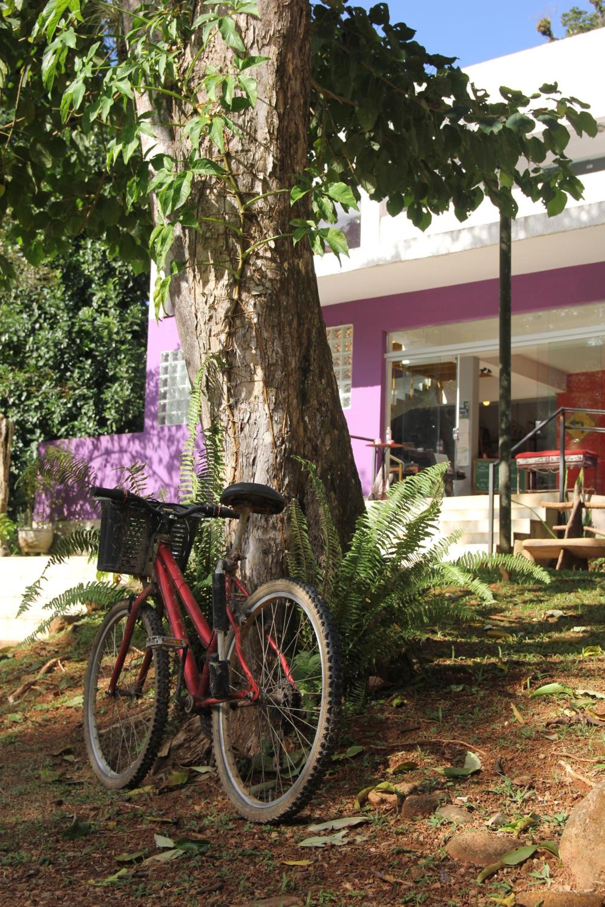 Casa Bacarirá - Floresta com Yoga e Café da Manhã Vegano