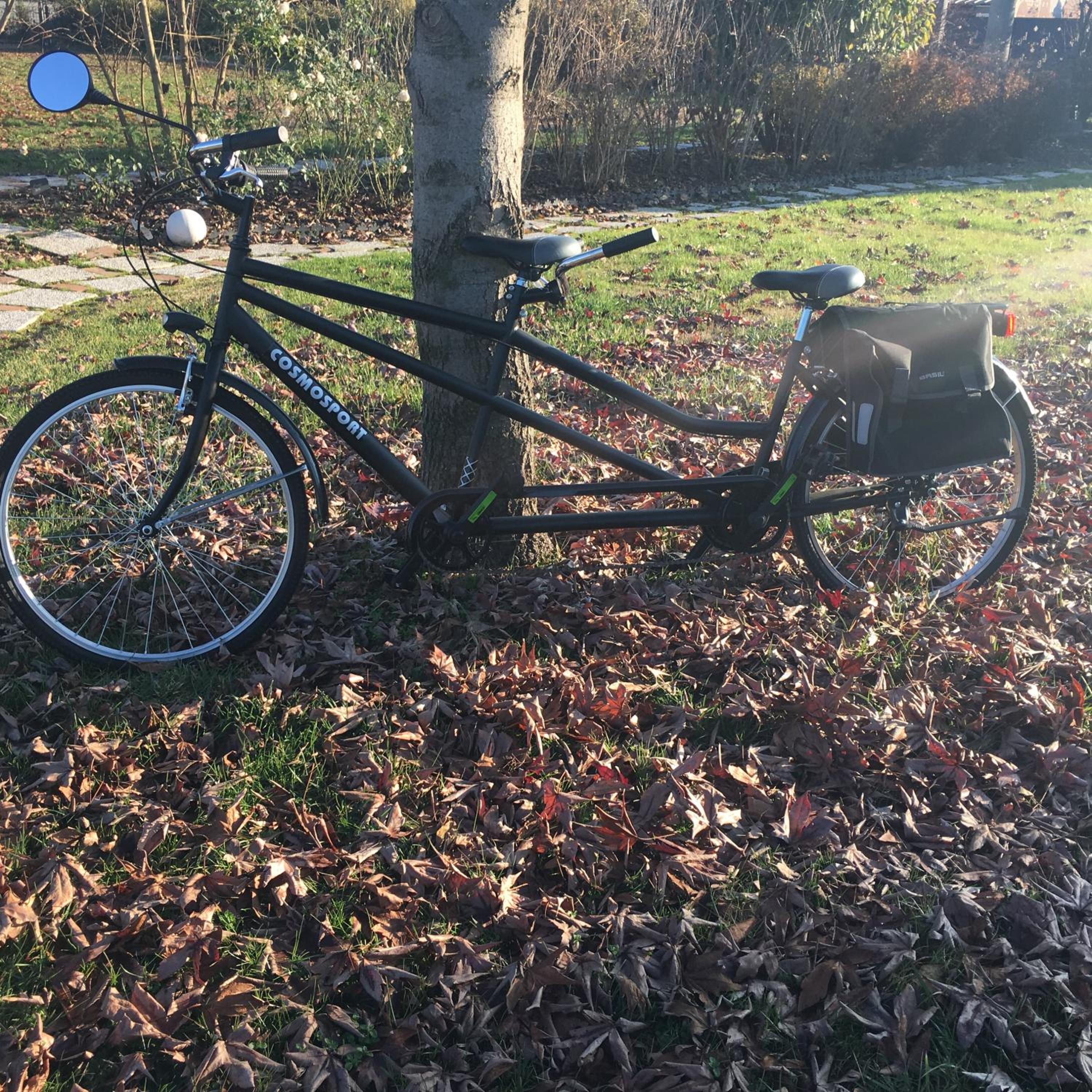 Green House in campagna - Property Image 99