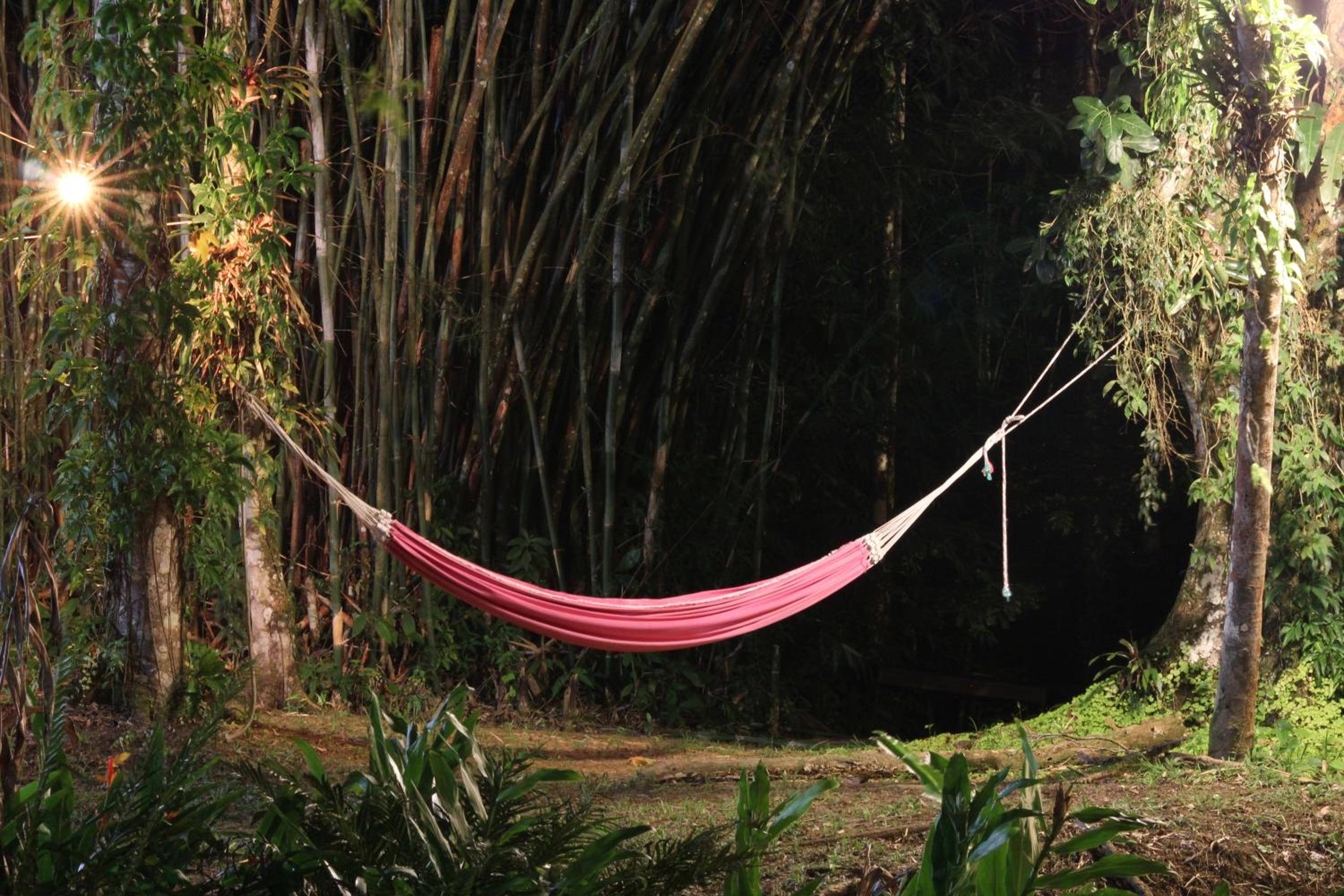 Casa Bacarirá - Floresta com Yoga e Café da Manhã Vegano