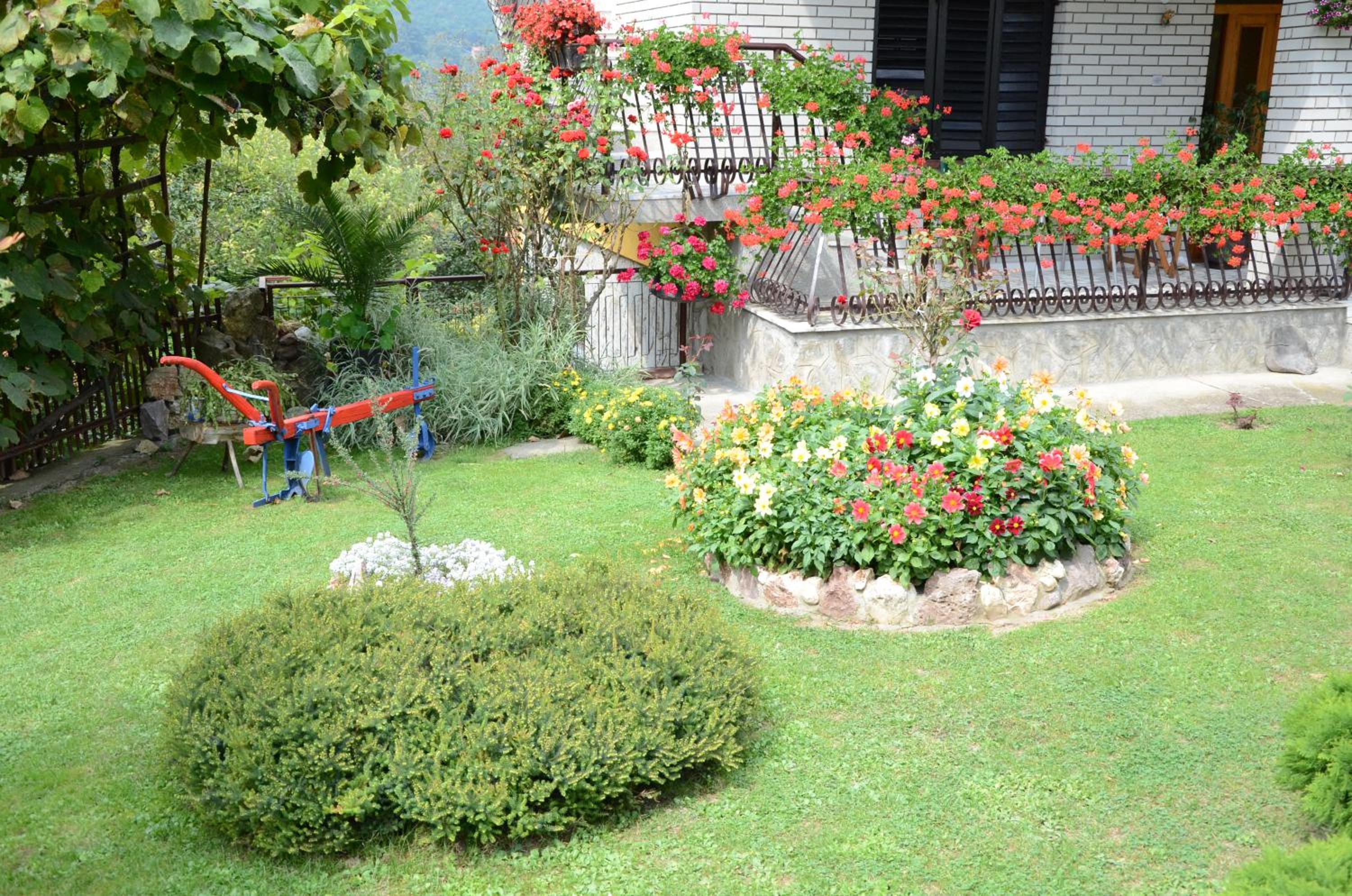 Photo 16