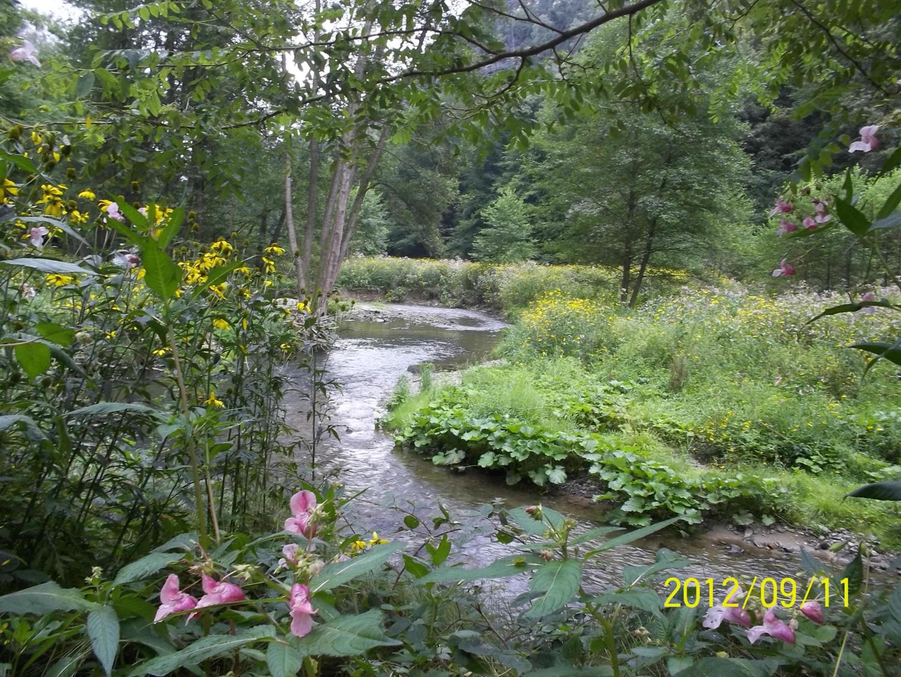 Photo 42