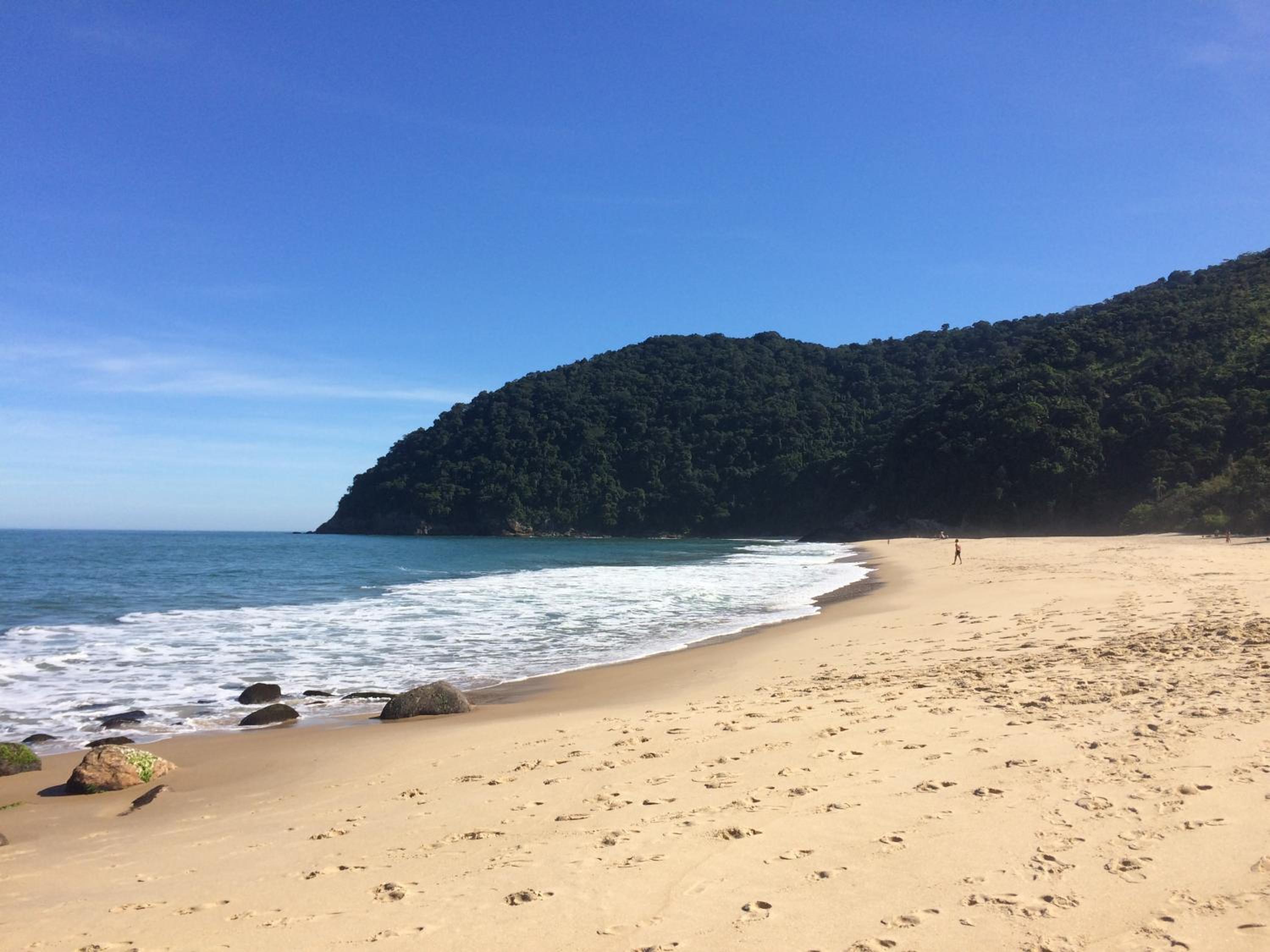Casa Bacarirá - Floresta com Yoga e Café da Manhã Vegano