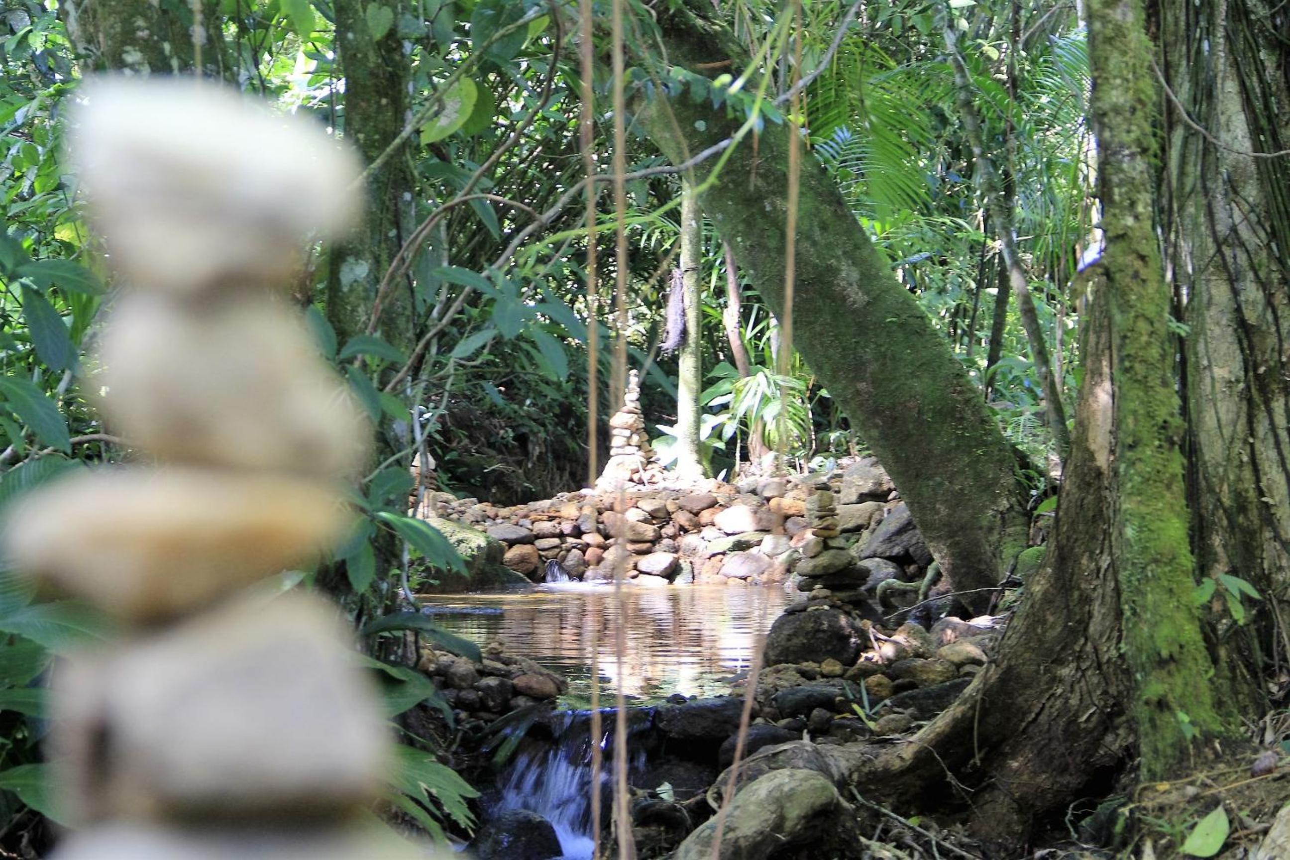 Casa Bacarirá - Floresta com Yoga e Café da Manhã Vegano