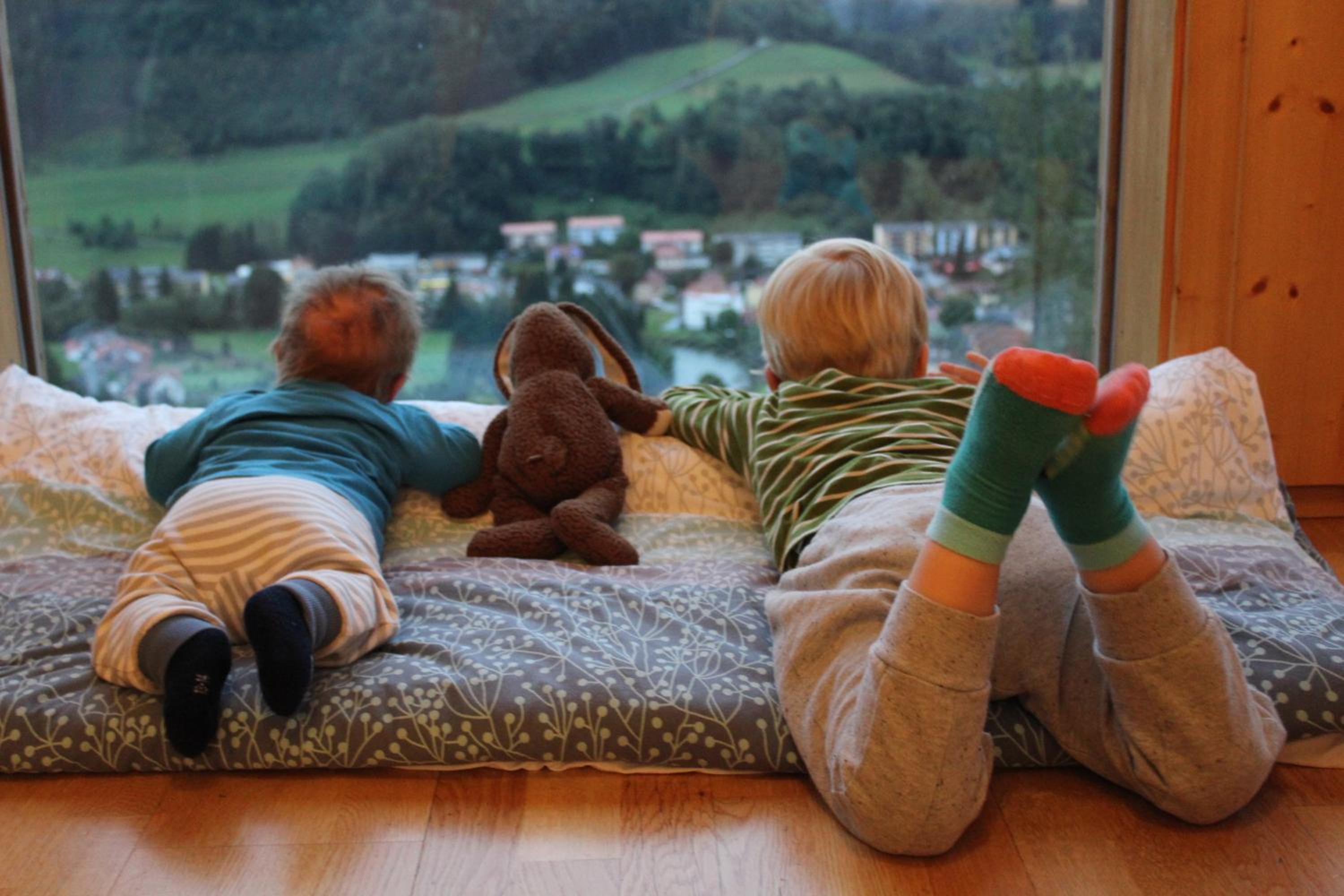 Panorama Apartment Bauernhof Mandl view 5