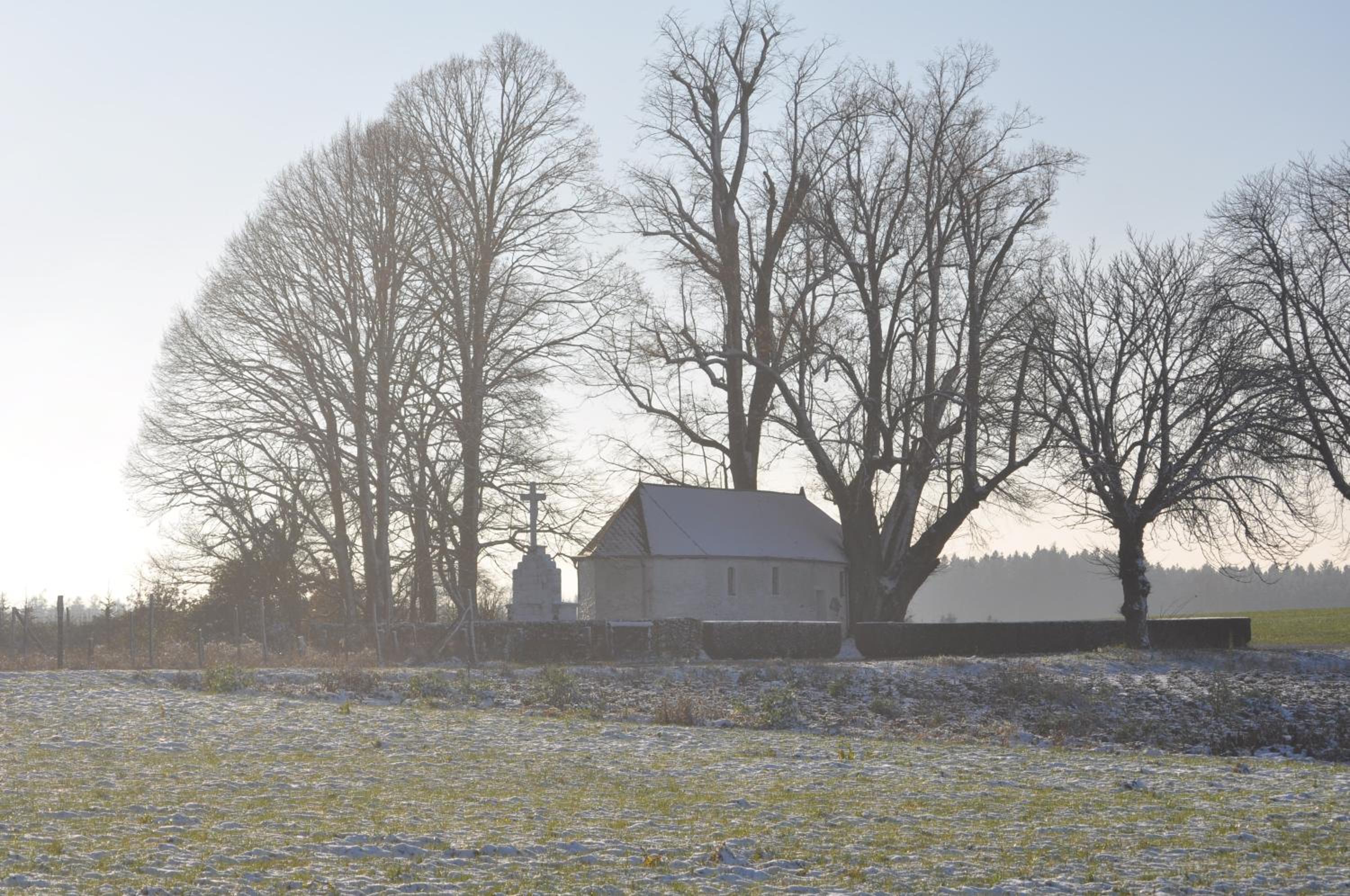 Gîte les Roseaux de Baillamont