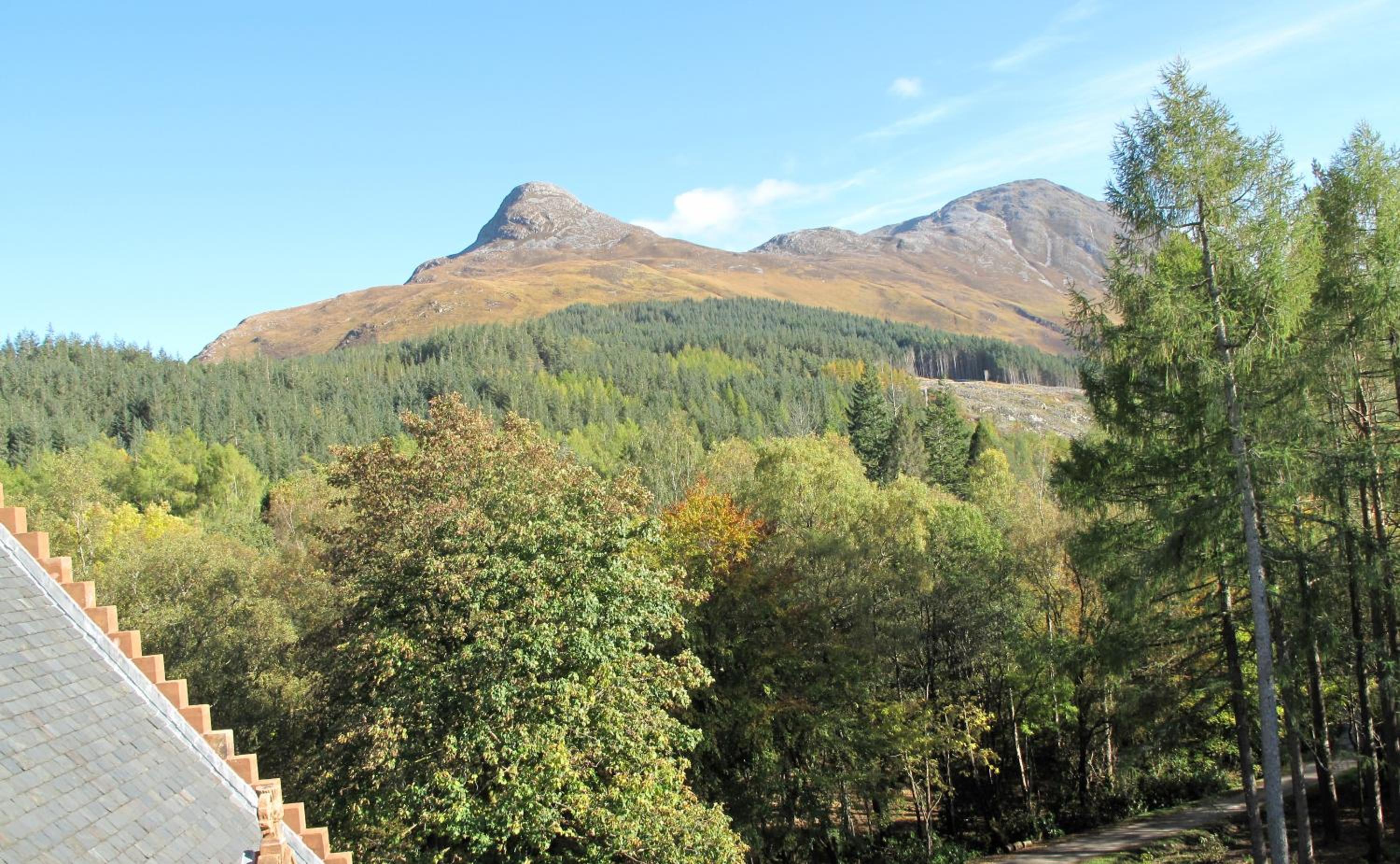 Glencoe House 66